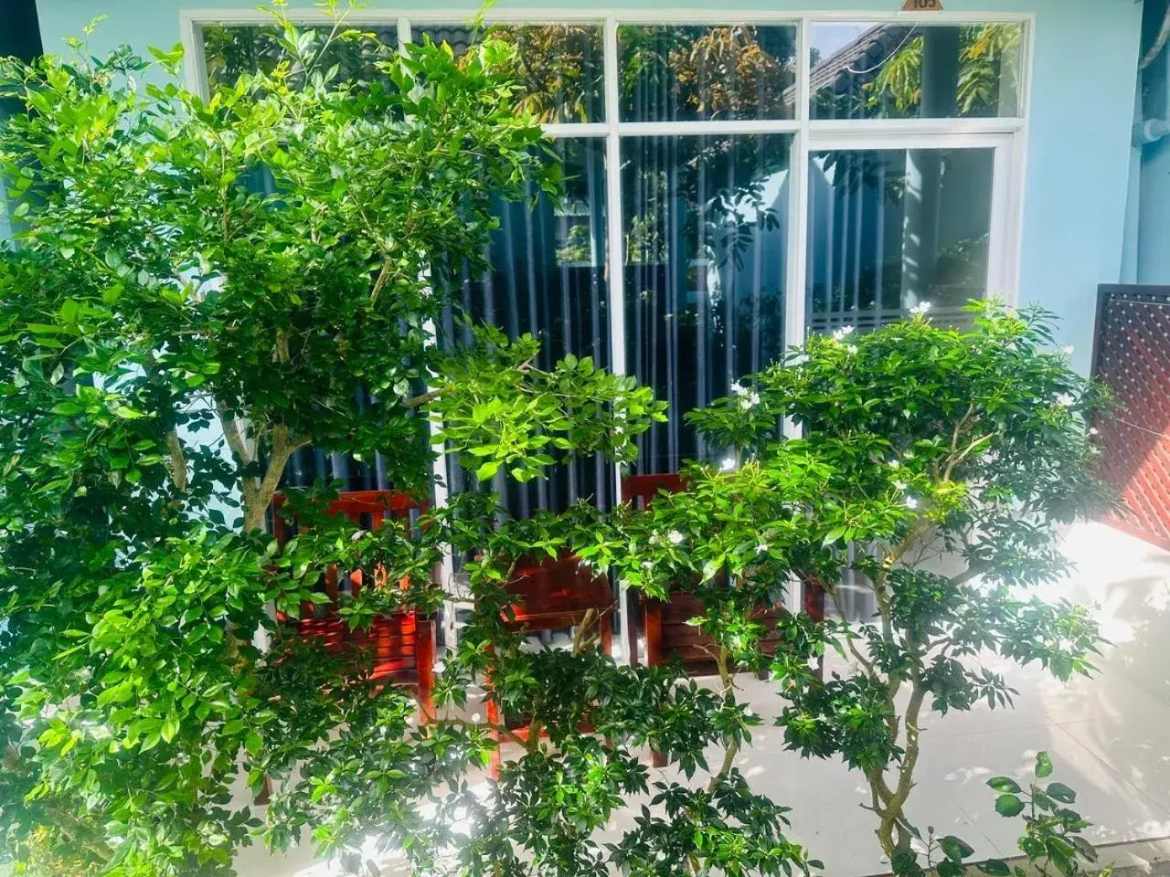 Garden view in Sunlight Bungalow Garden view in Sunlight Bungalow