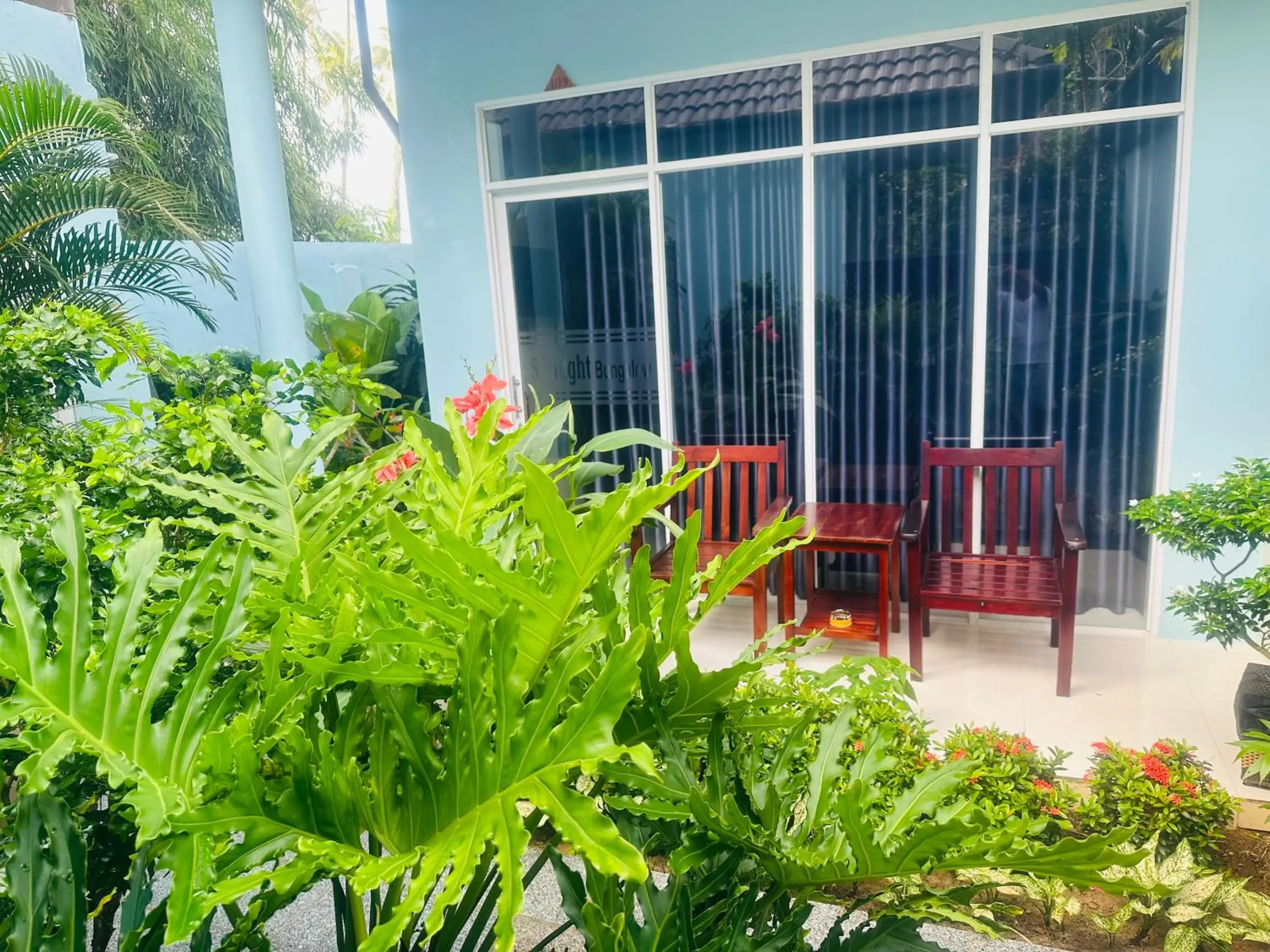 Garden view in Sunlight Bungalow Garden view in Sunlight Bungalow