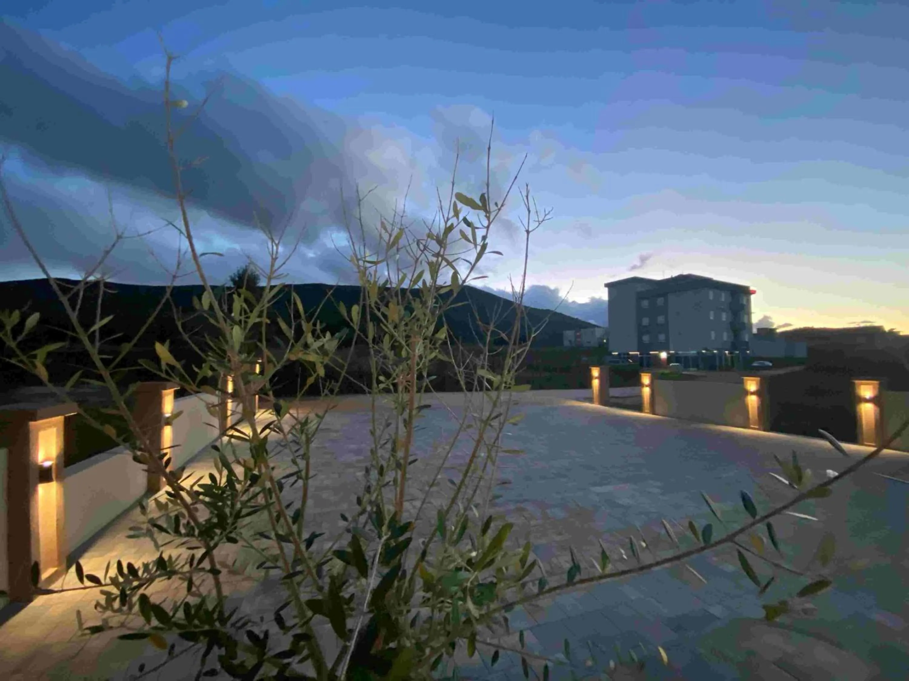 Property building in Villa Flowers