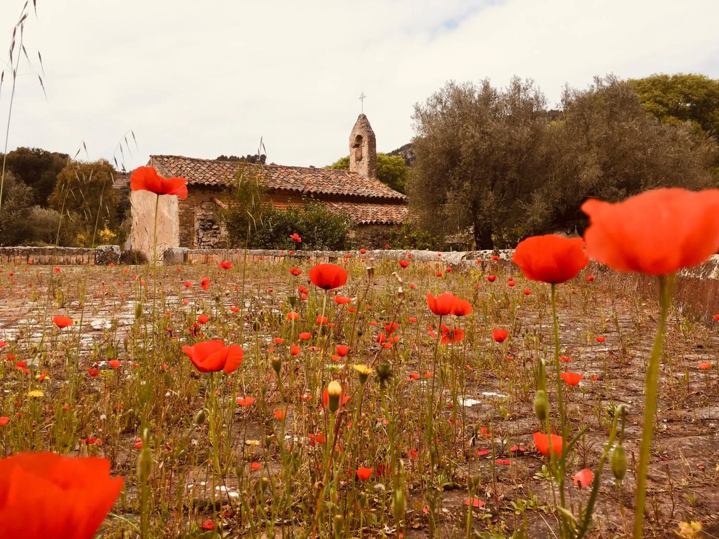 Spring in Bastide Sainte Trinide