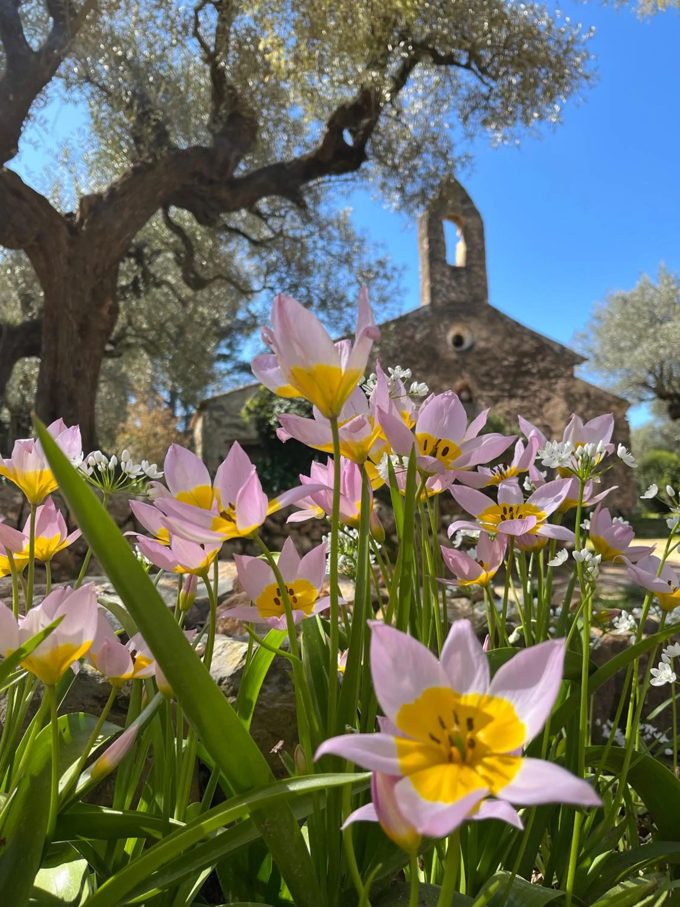 Place of worship in Bastide Sainte Trinide