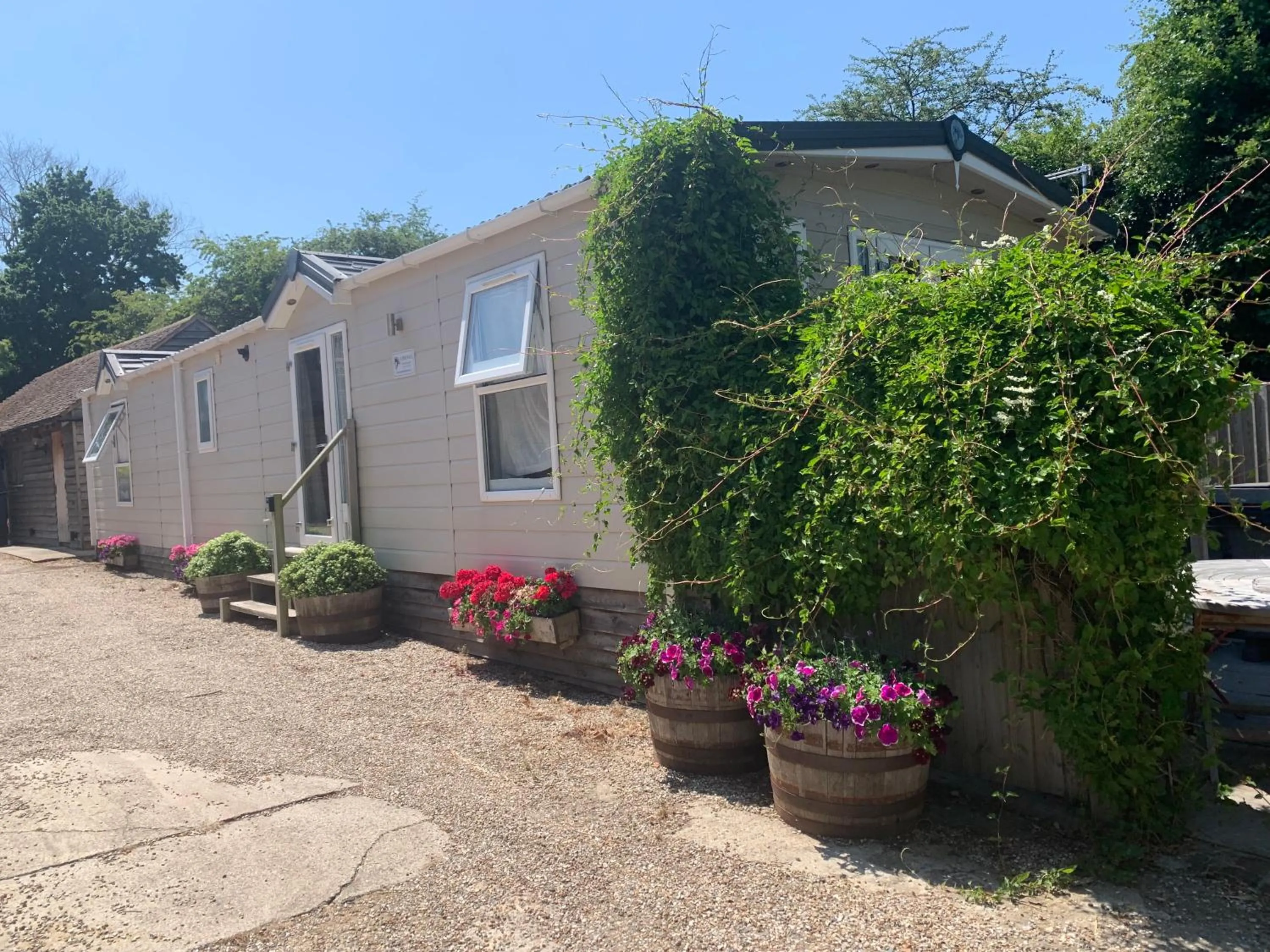 Molland Manor House Bed & Breakfast