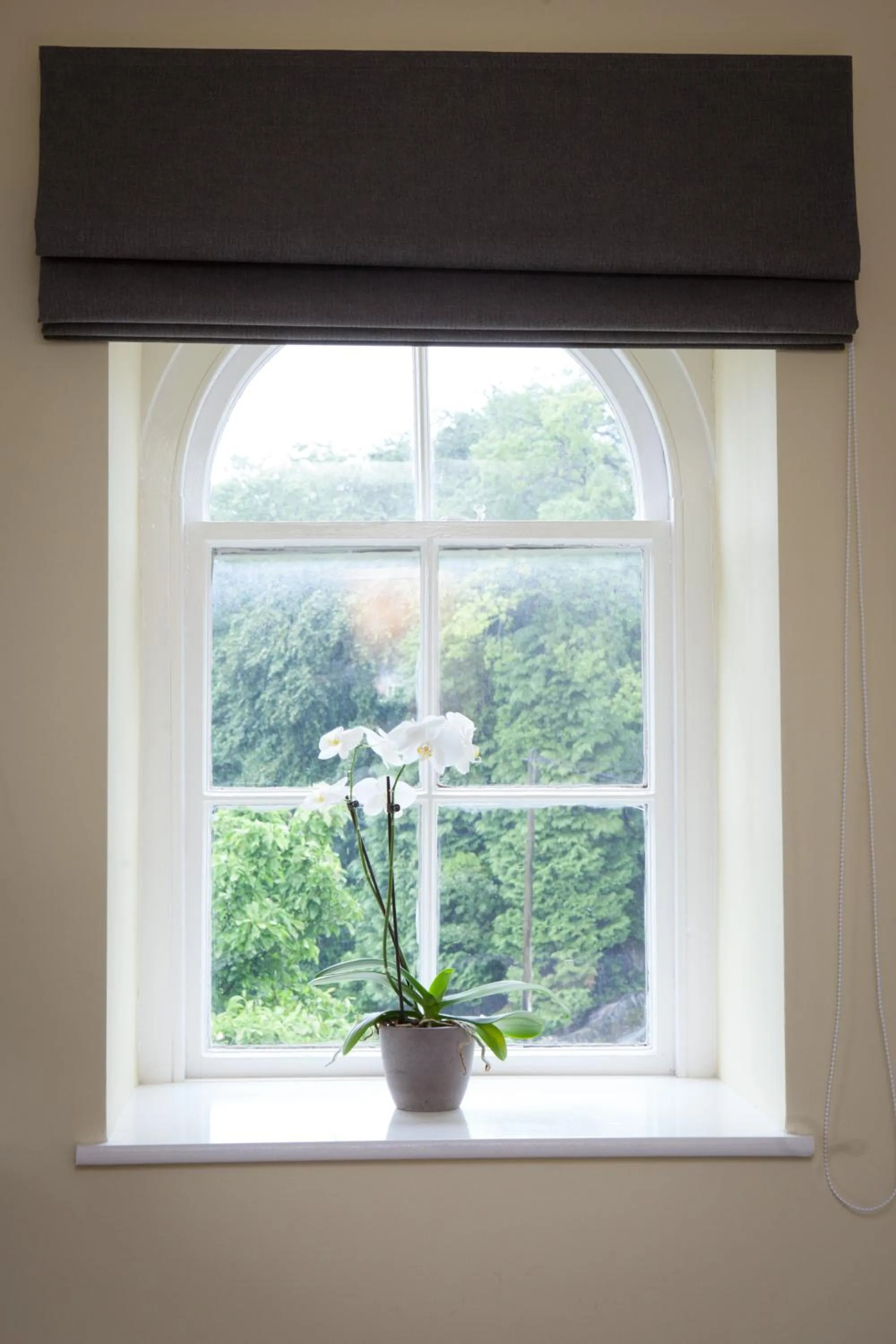 Other in The Lamplighter Dining ~ Rooms