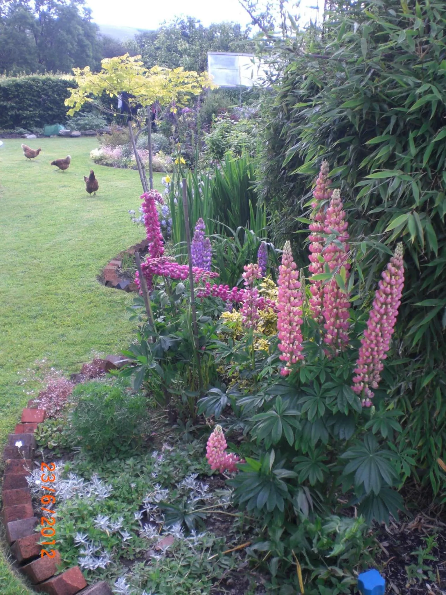 Garden in Cerdyn Villa
