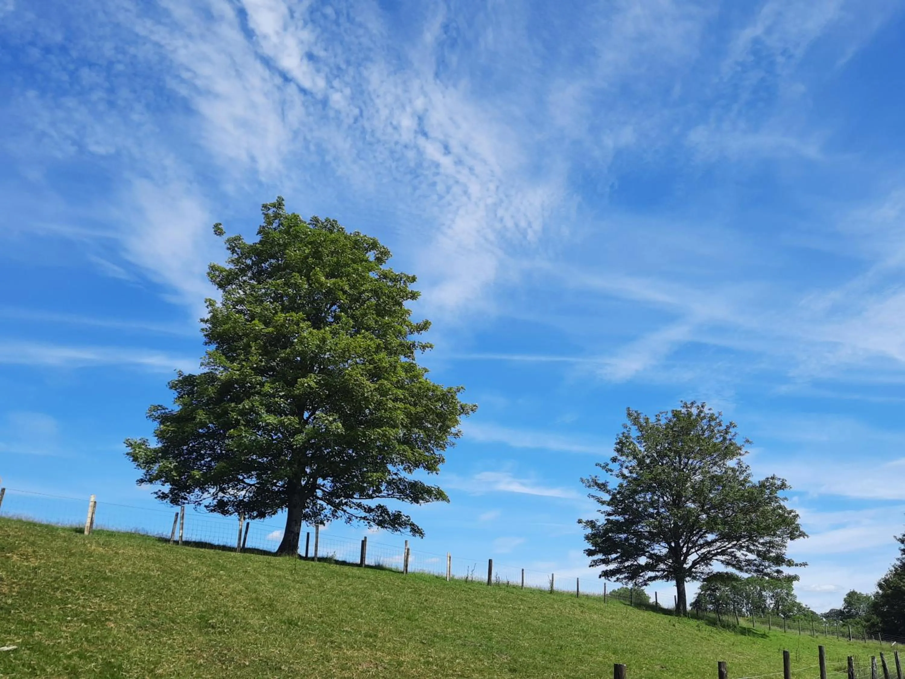 Natural landscape in Cerdyn Villa