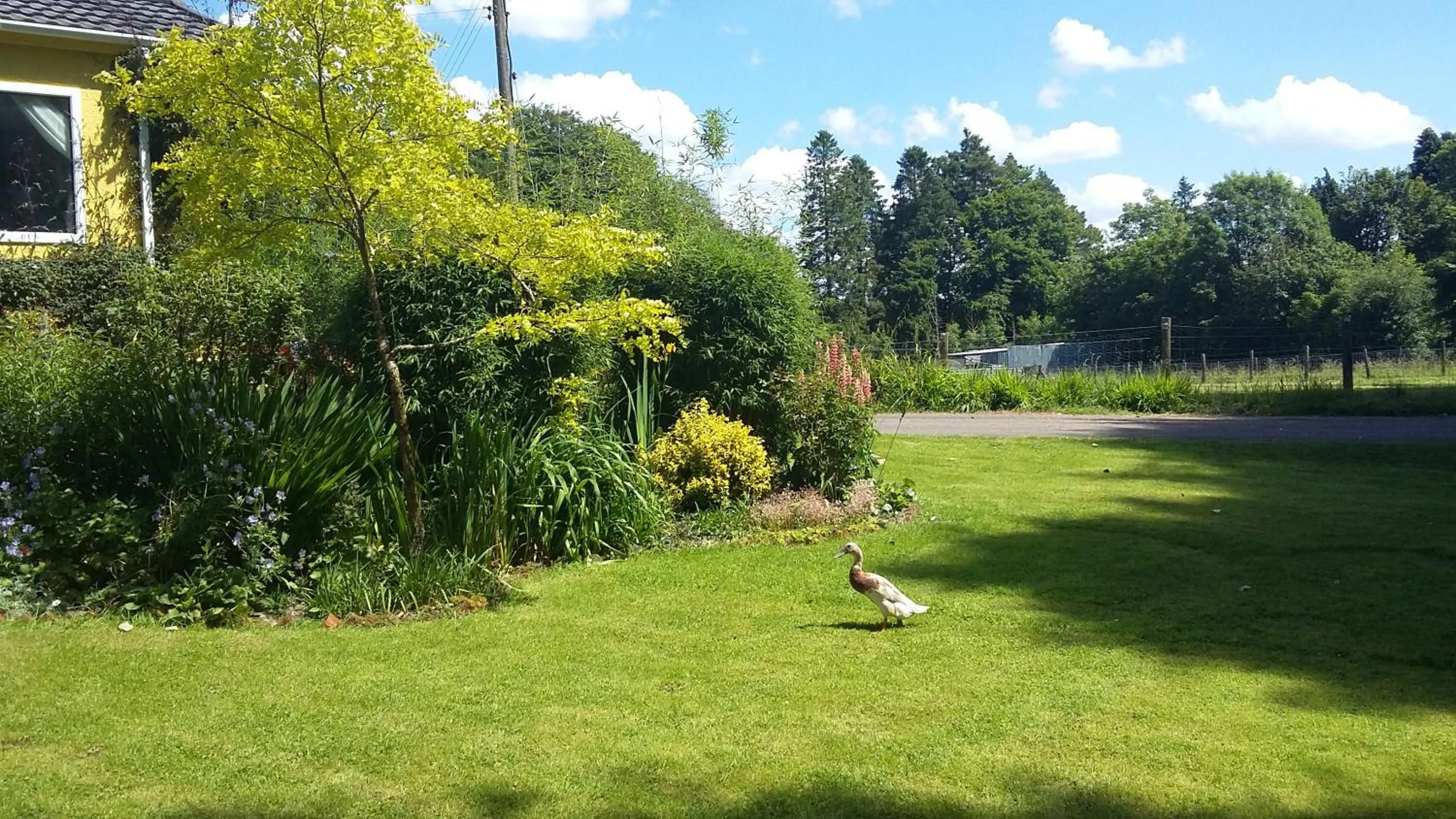 Garden view in Cerdyn Villa