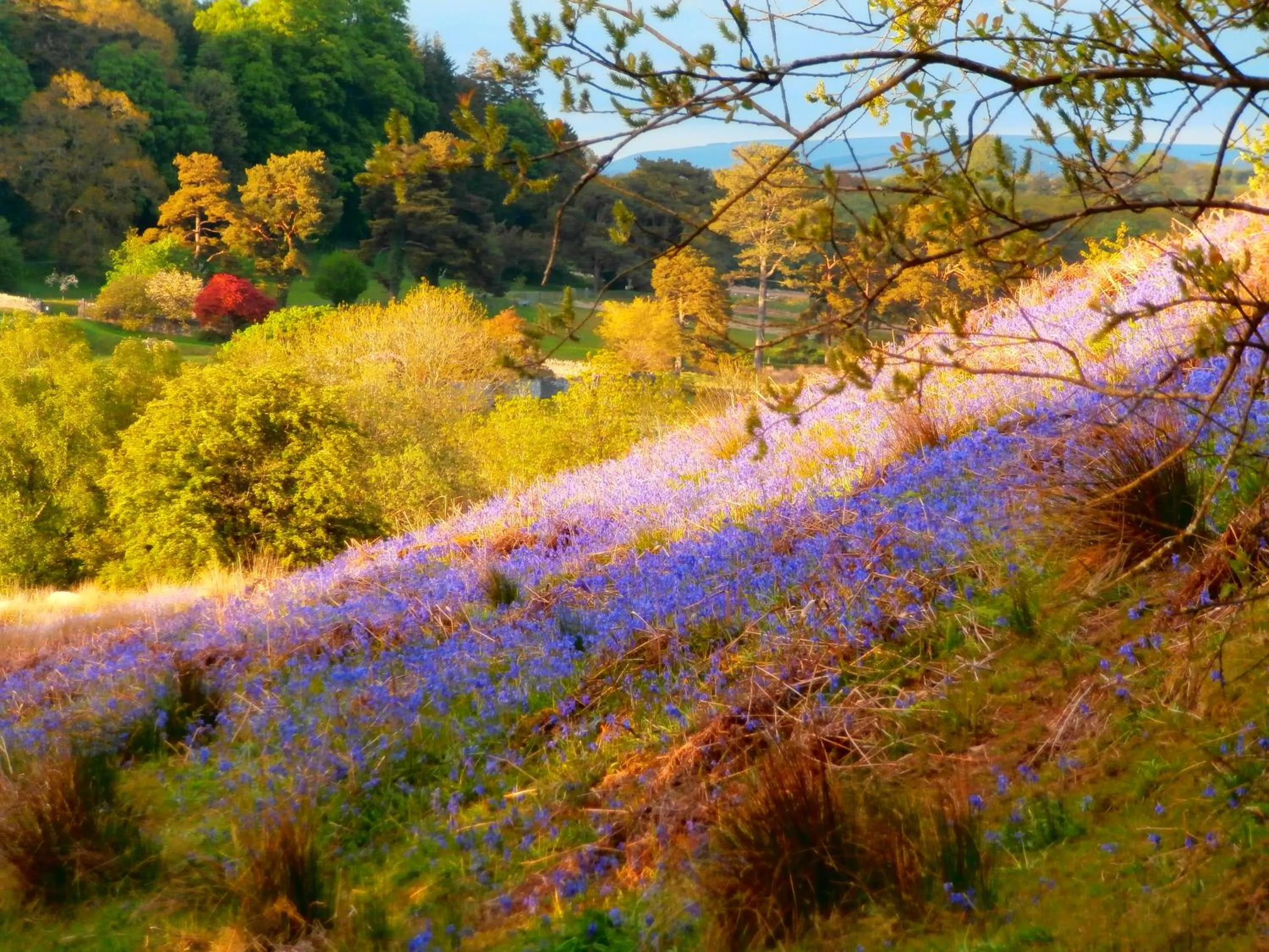 Natural landscape in Cerdyn Villa