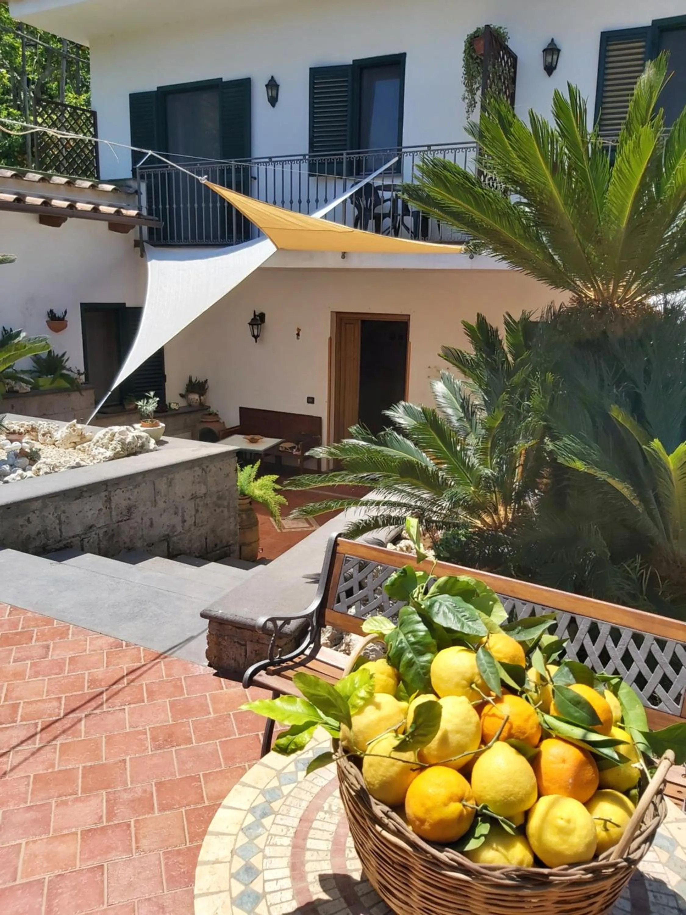 Property building in Sosò