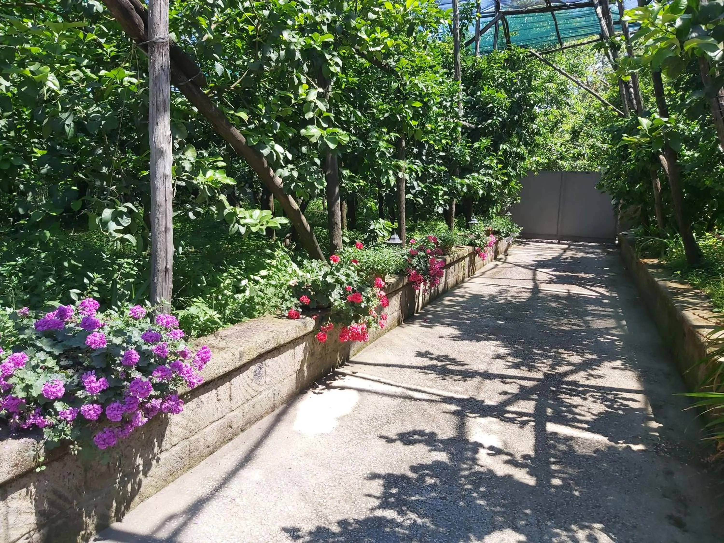 Facade/entrance in Sosò