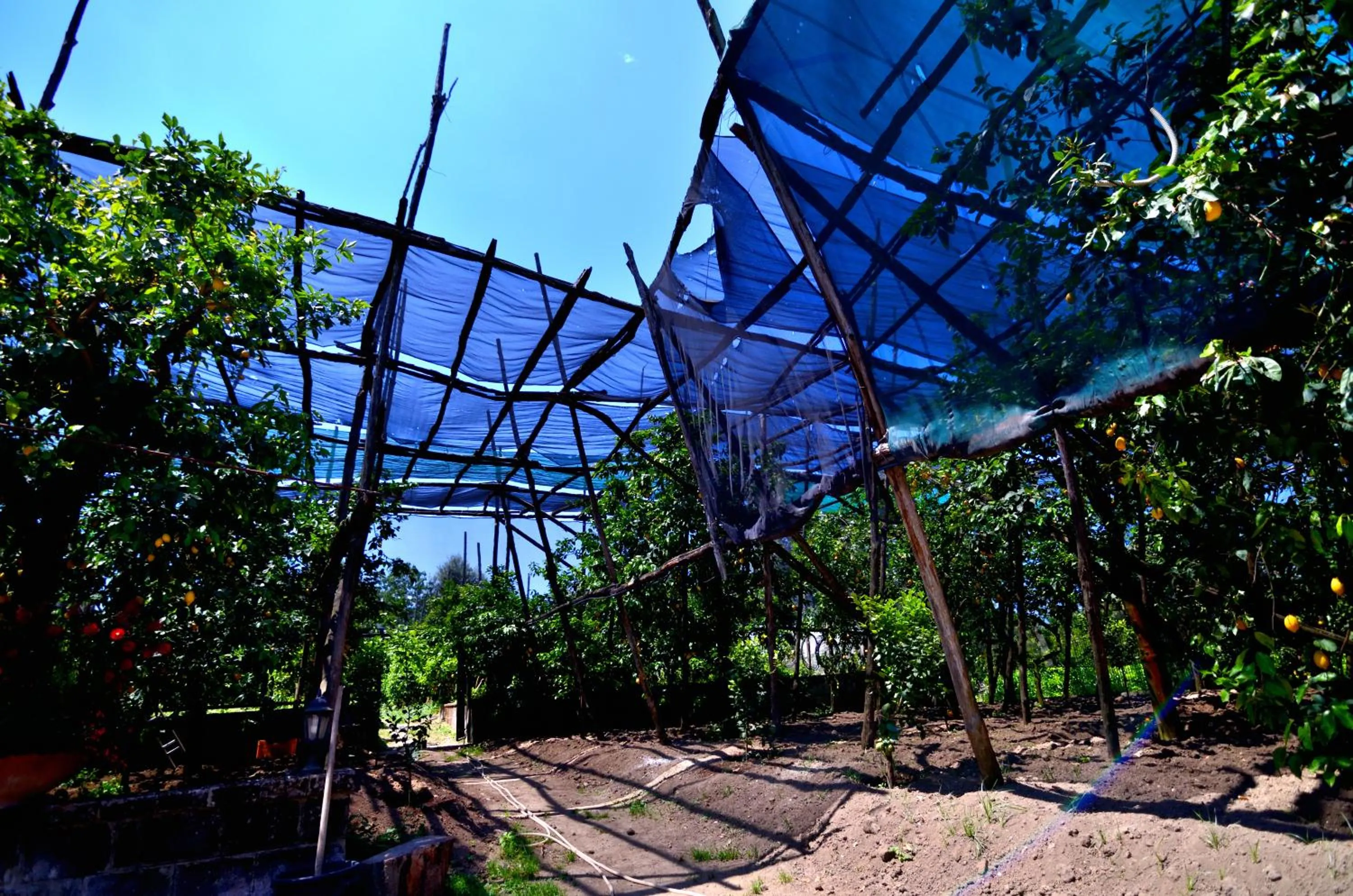 Property building in Sosò