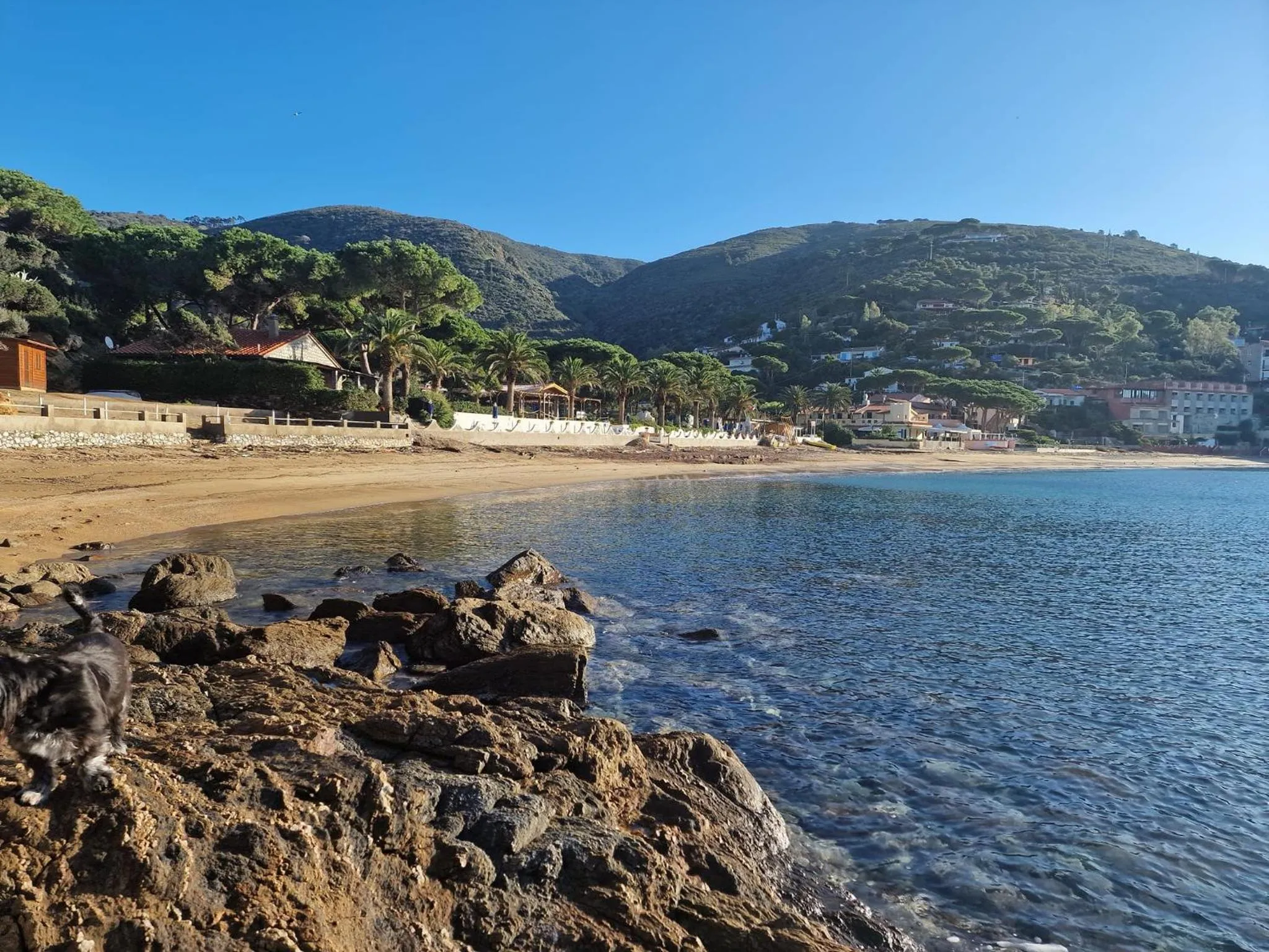 Swimming pool in Mandel Residence by Mandel Club