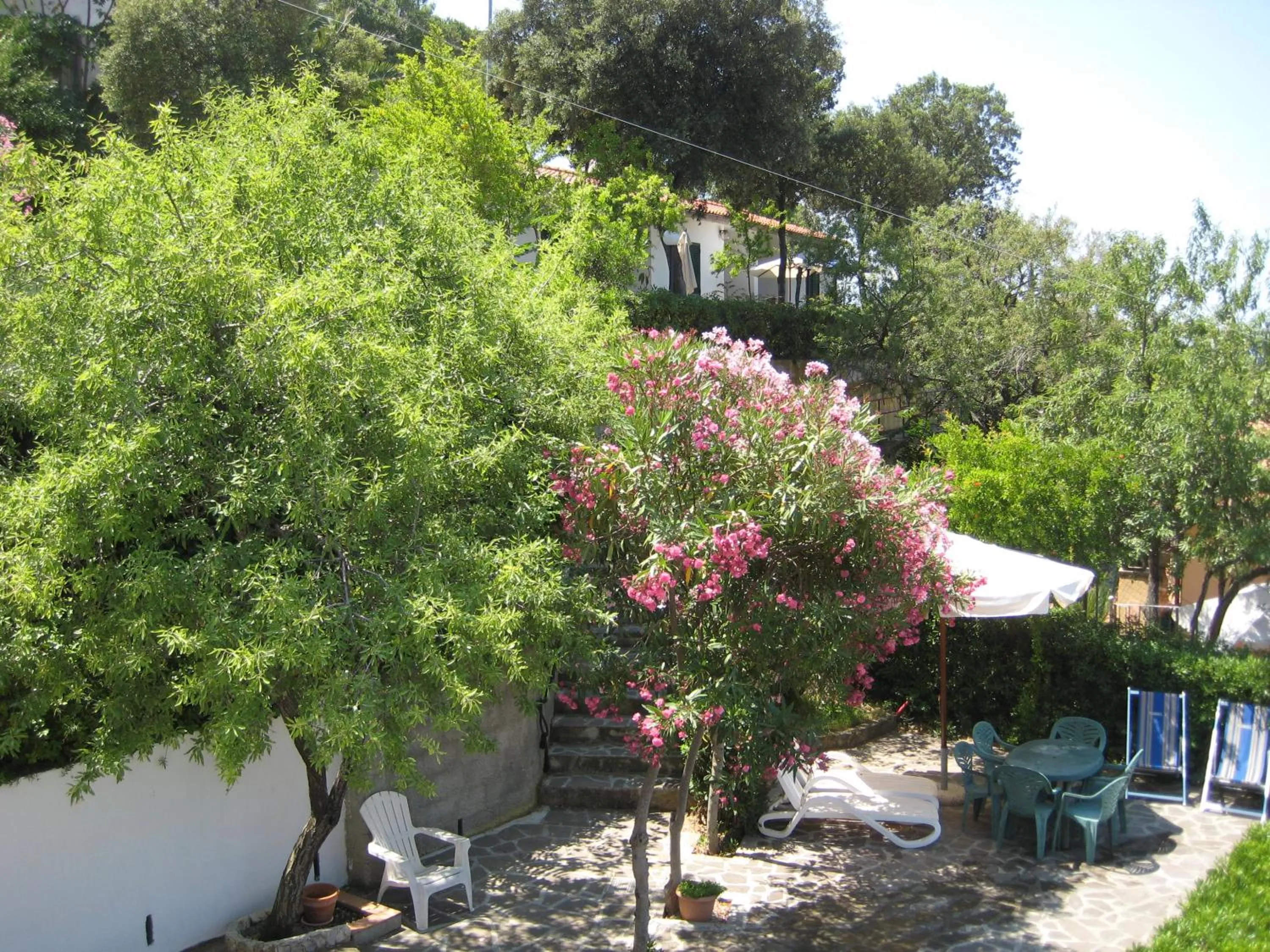 Garden view in Mandel Residence by Mandel Club