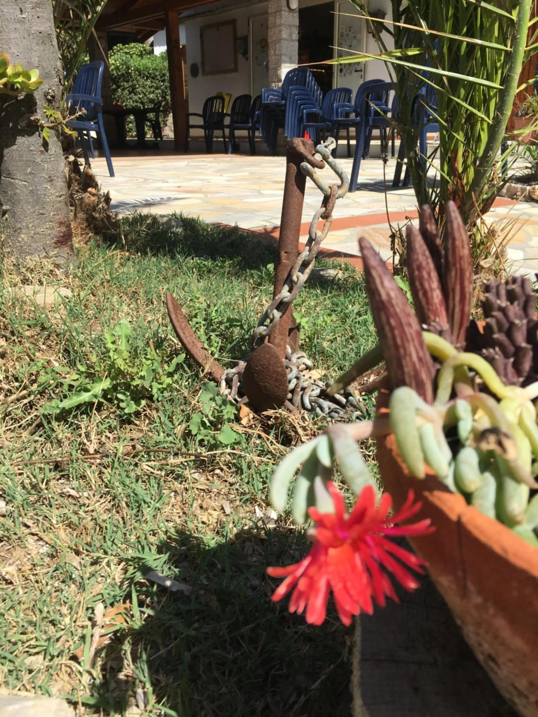 Restaurant/places to eat in Mandel Residence by Mandel Club