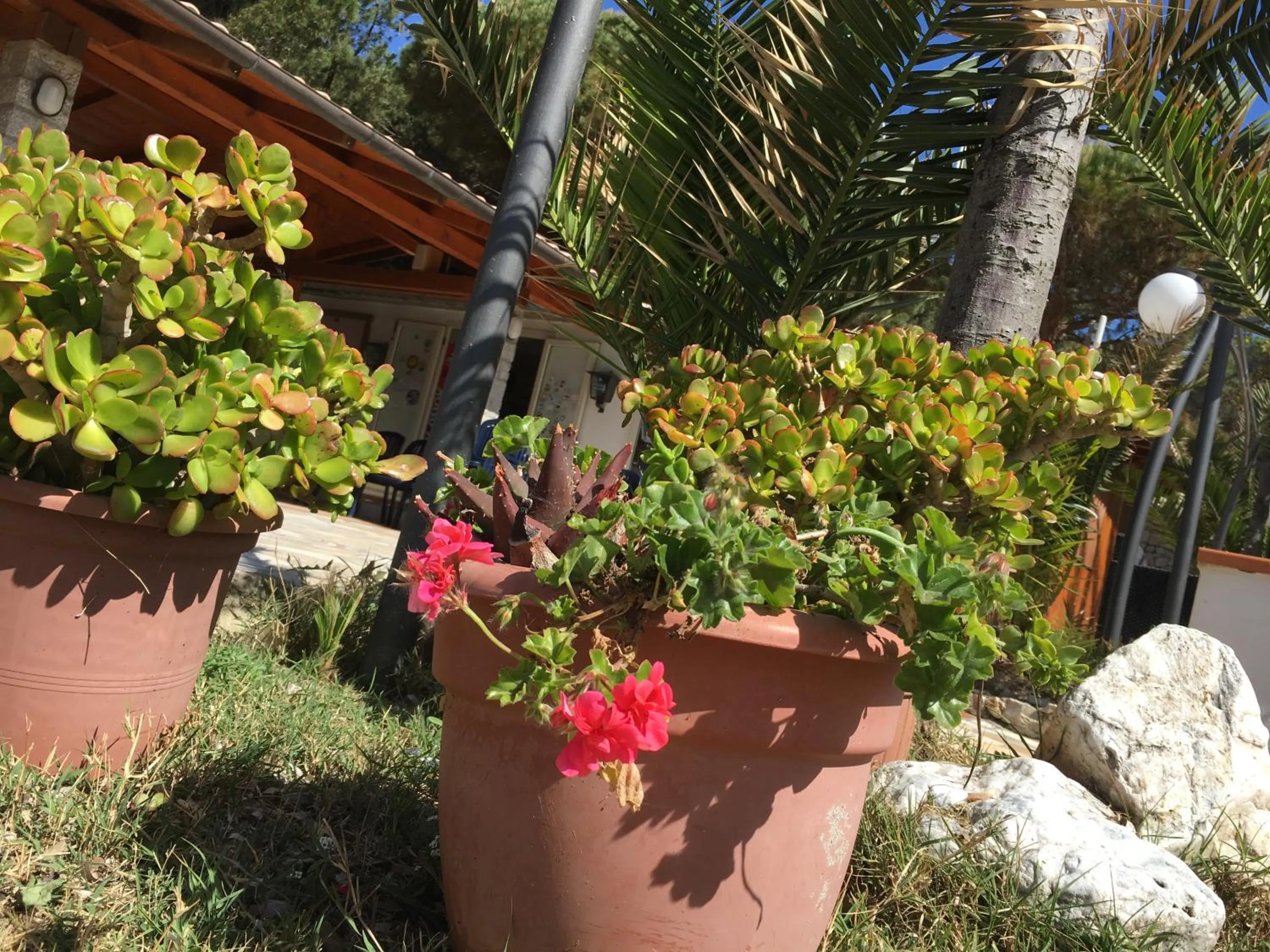 Restaurant/places to eat in Mandel Residence by Mandel Club