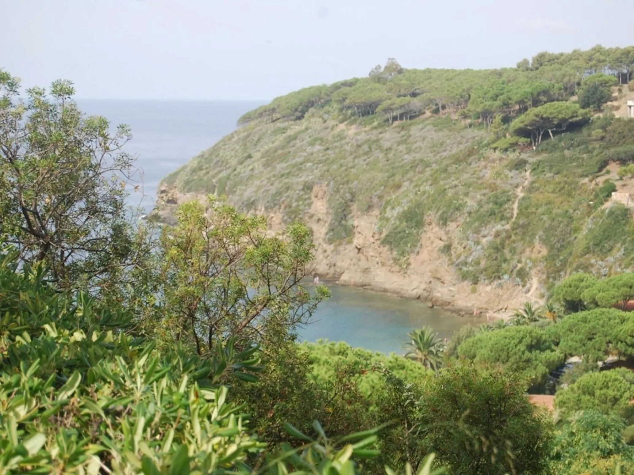 Spring in Mandel Residence by Mandel Club