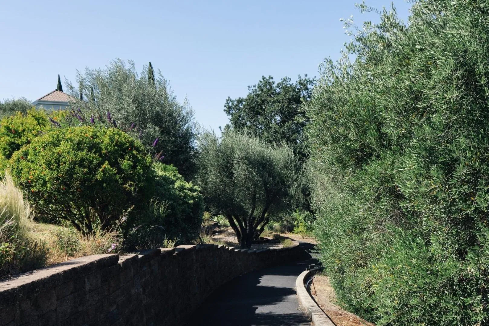 Garden in Le Petit Pali St Helena