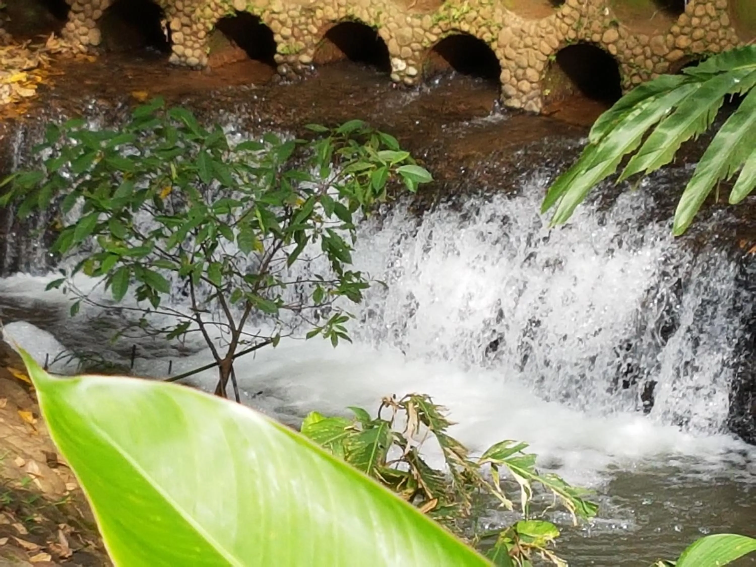Bird's eye view in Pacifico Loft Hotel