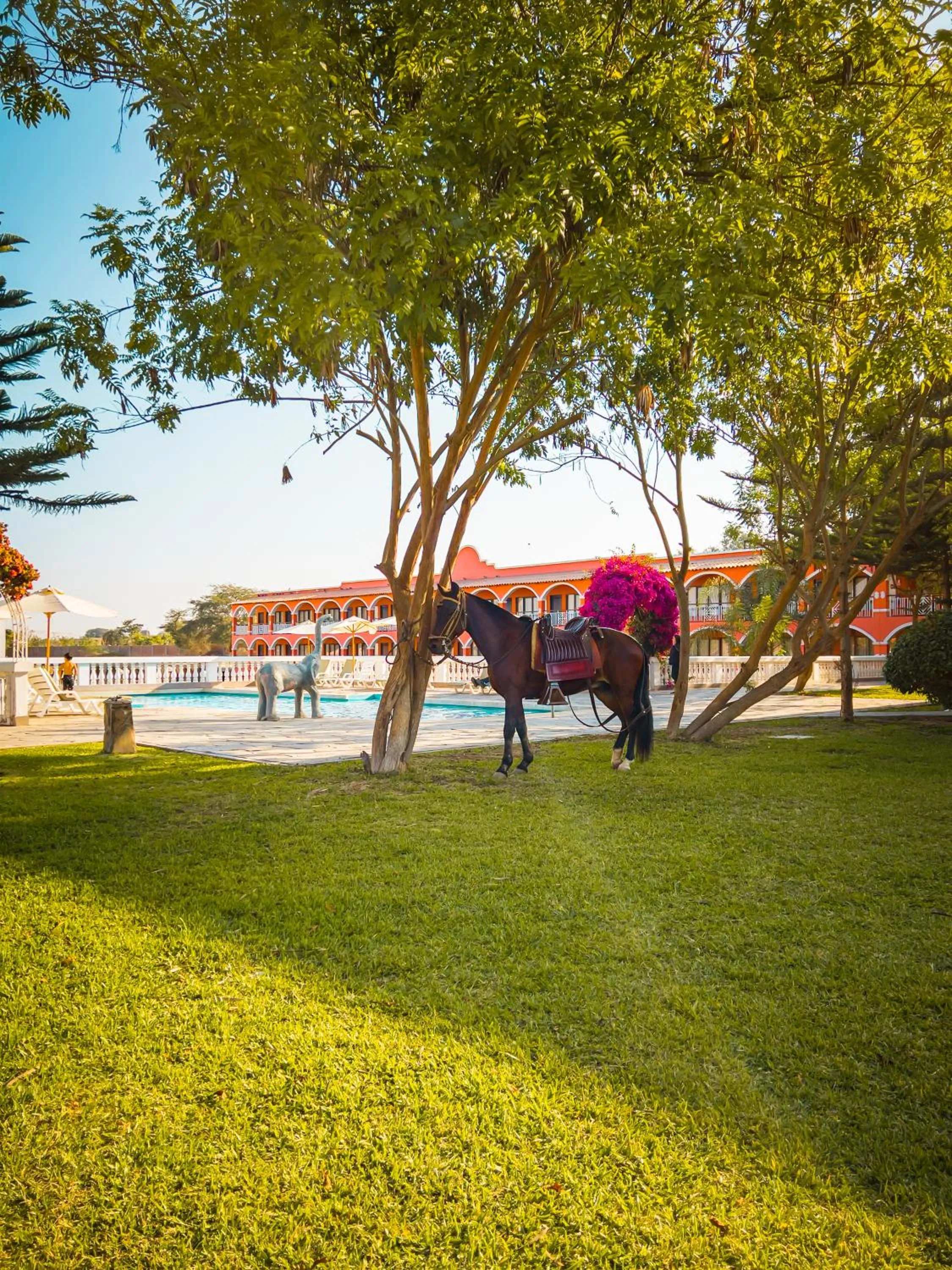 Property building in Hacienda San Juan Resort
