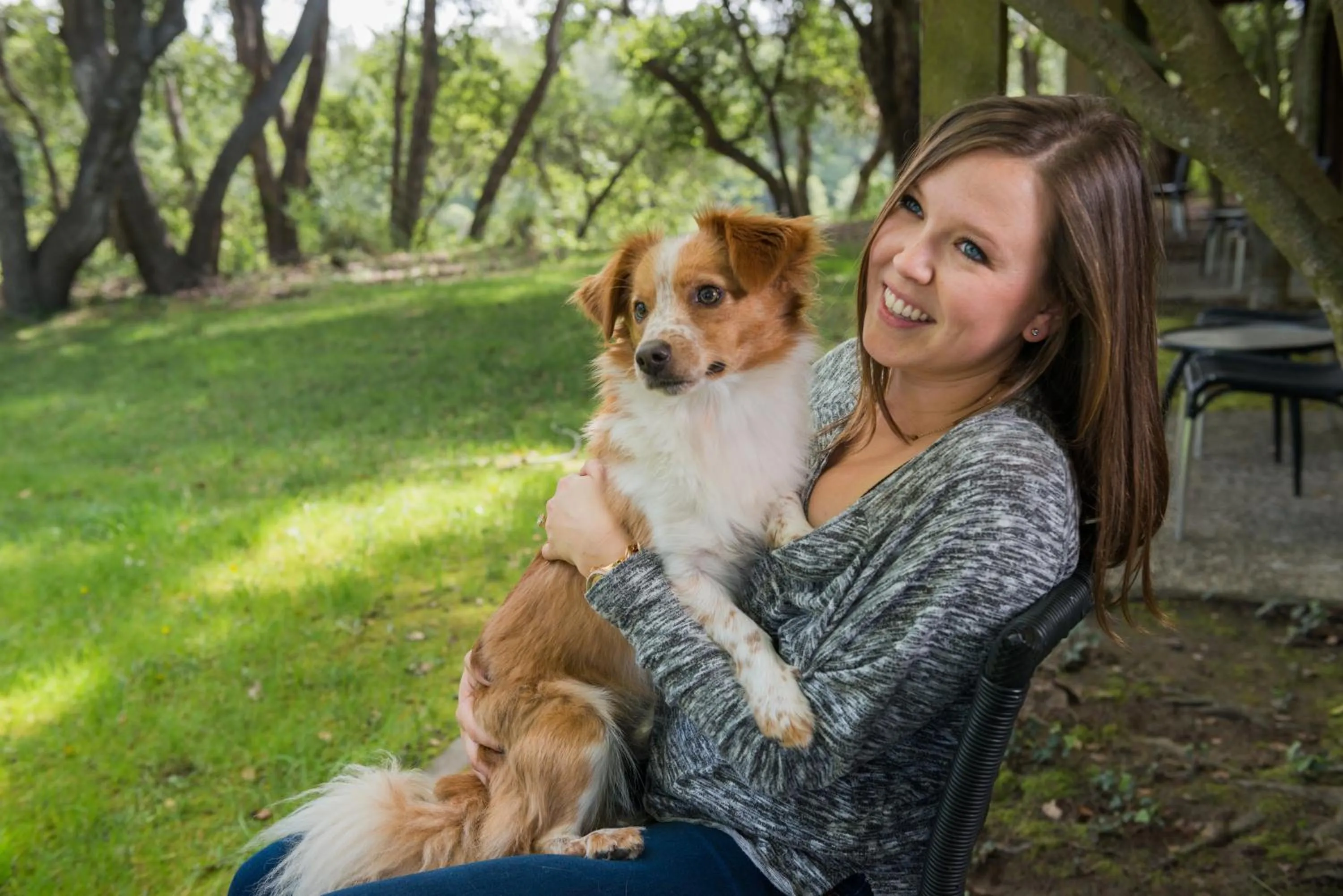 Pets in Chaminade Resort & Spa