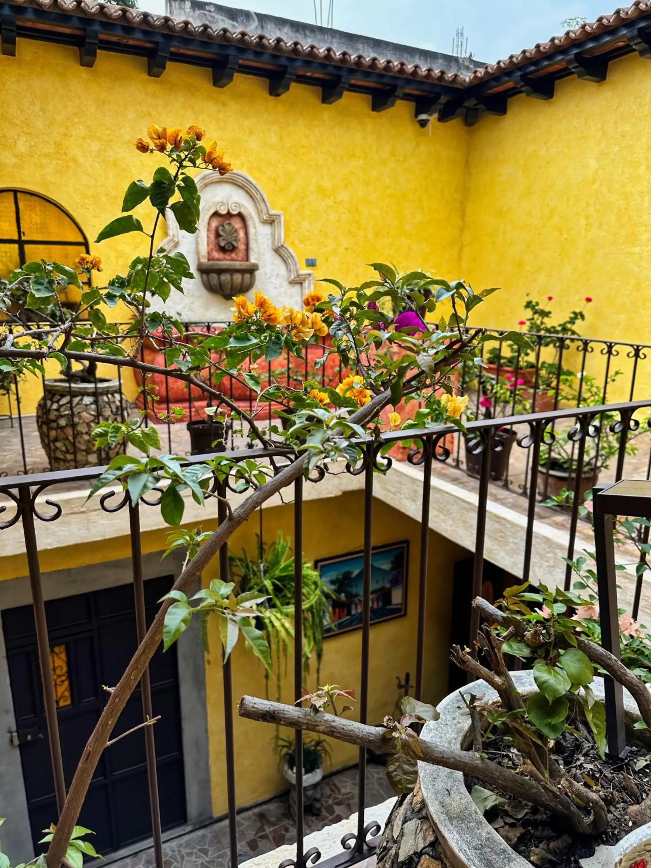 Maison Bougainvillea Maison Bougainvillea