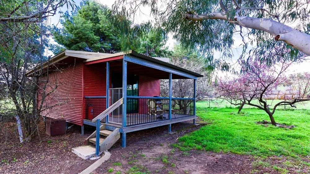 Garden view in Hillview Farmstay