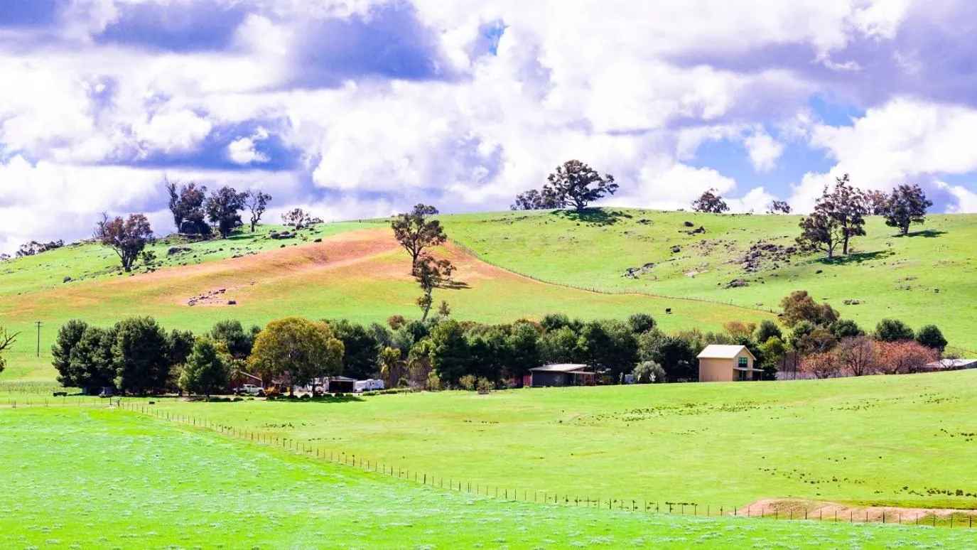 Hillview Farmstay