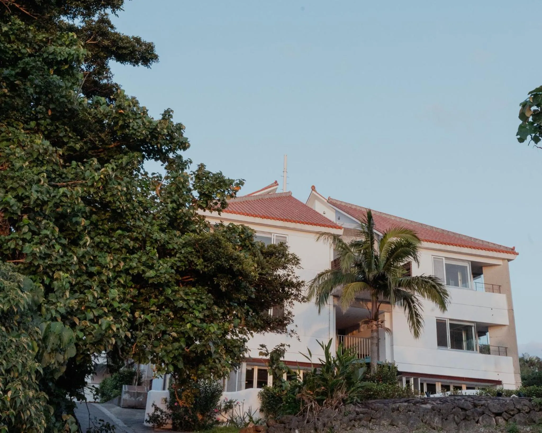 Alaise De Bale Ishigaki