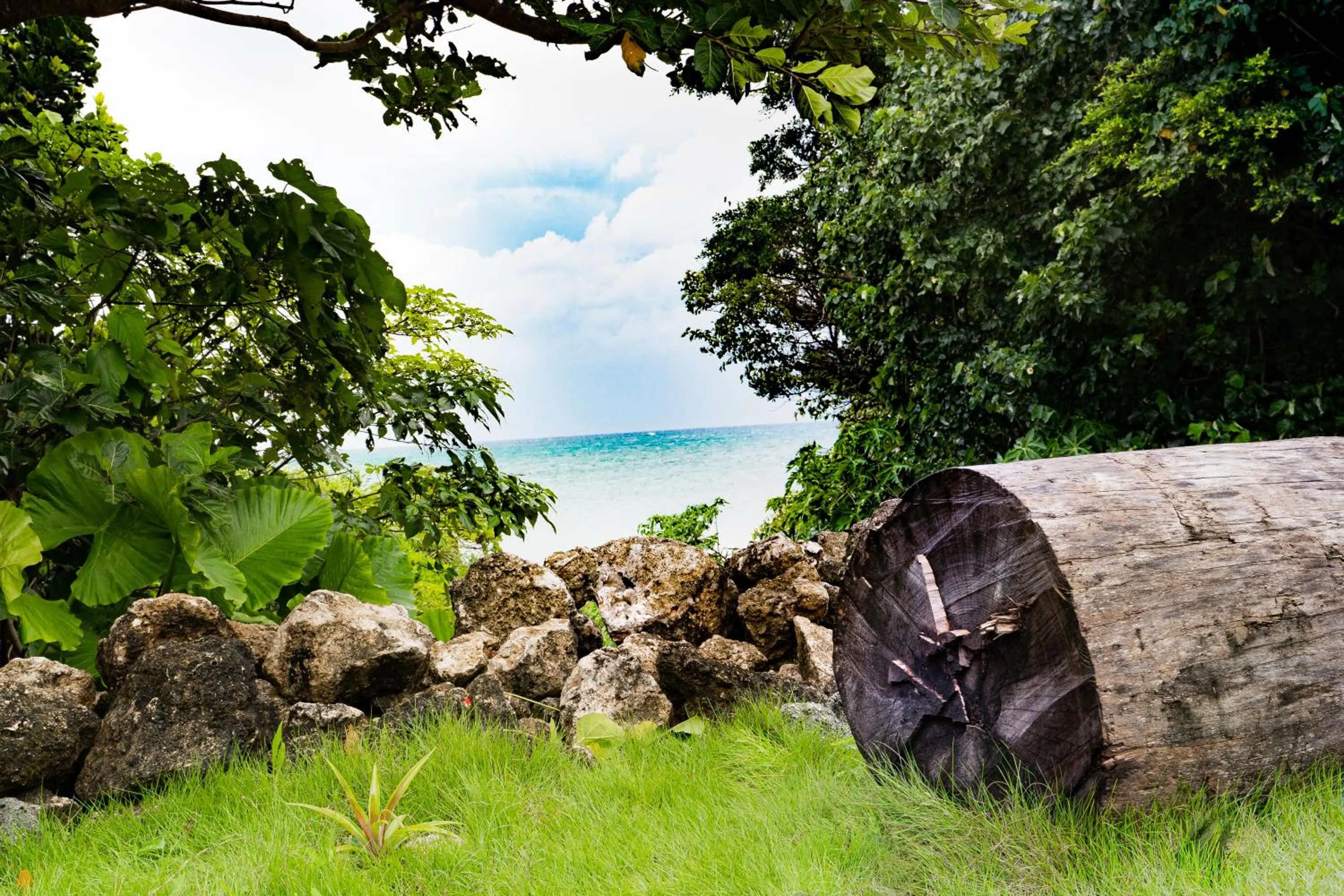 Garden in Alaise De Bale Ishigaki