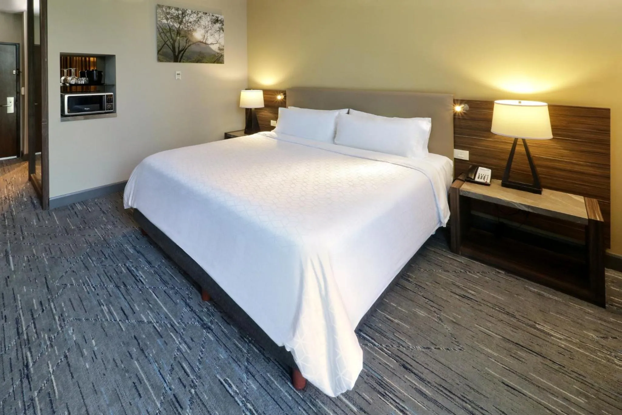 Photo of the whole room, Bed in Holiday Inn Express & Suites Monterrey Valle by IHG