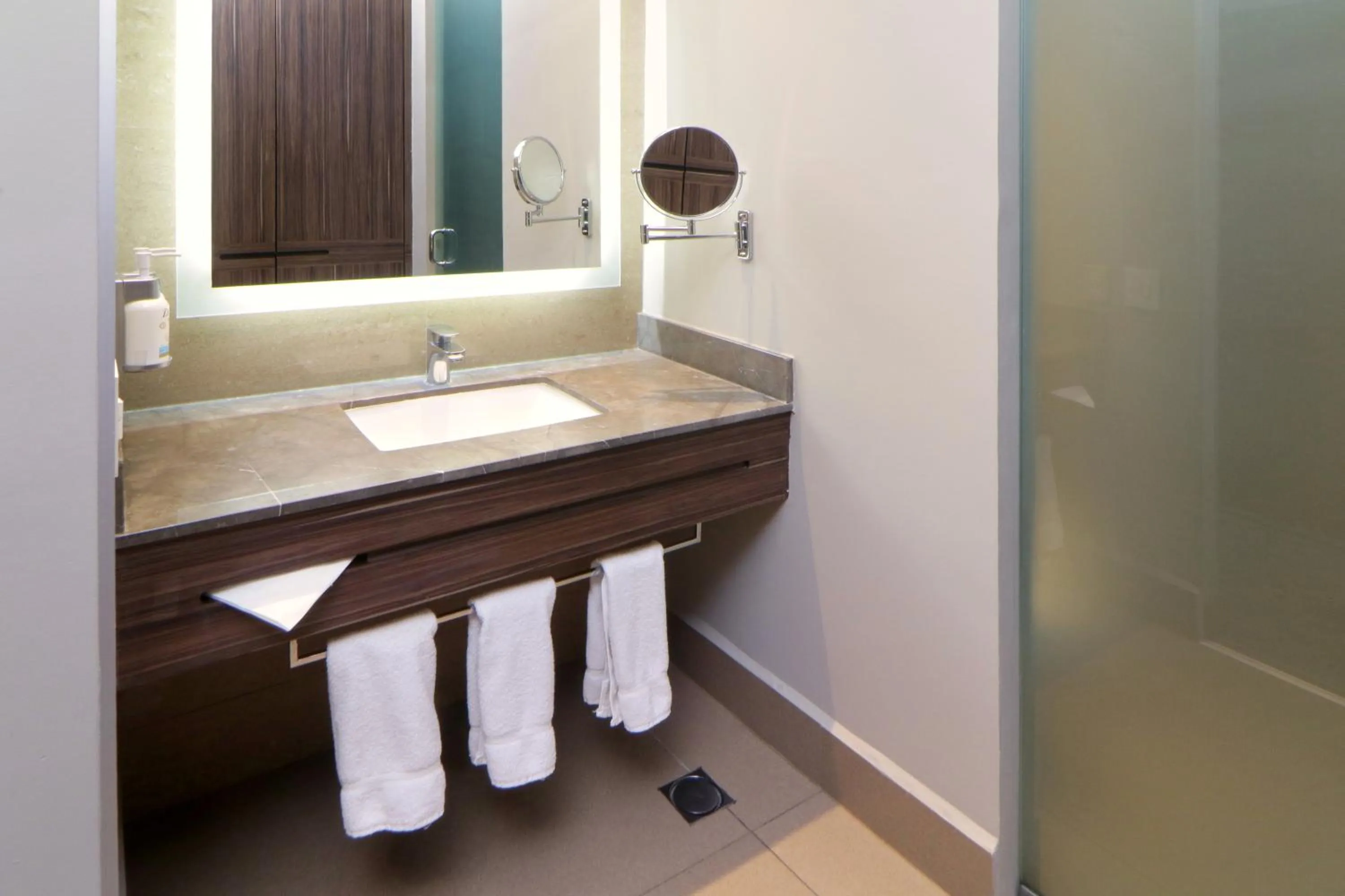 Bathroom in Holiday Inn Express & Suites Monterrey Valle by IHG