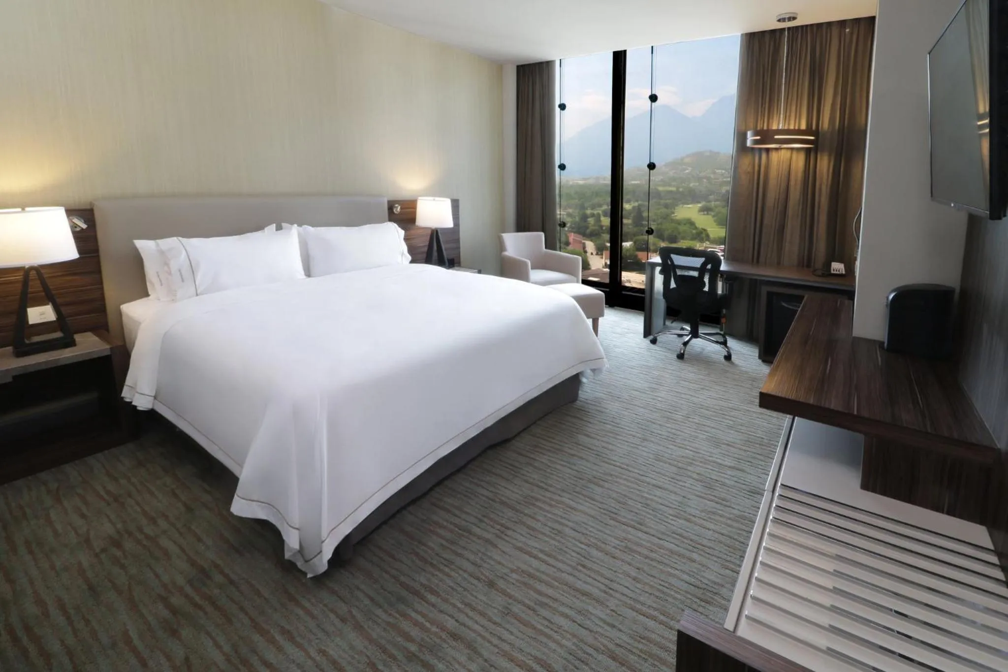 Photo of the whole room, Bed in Holiday Inn Express & Suites Monterrey Valle by IHG
