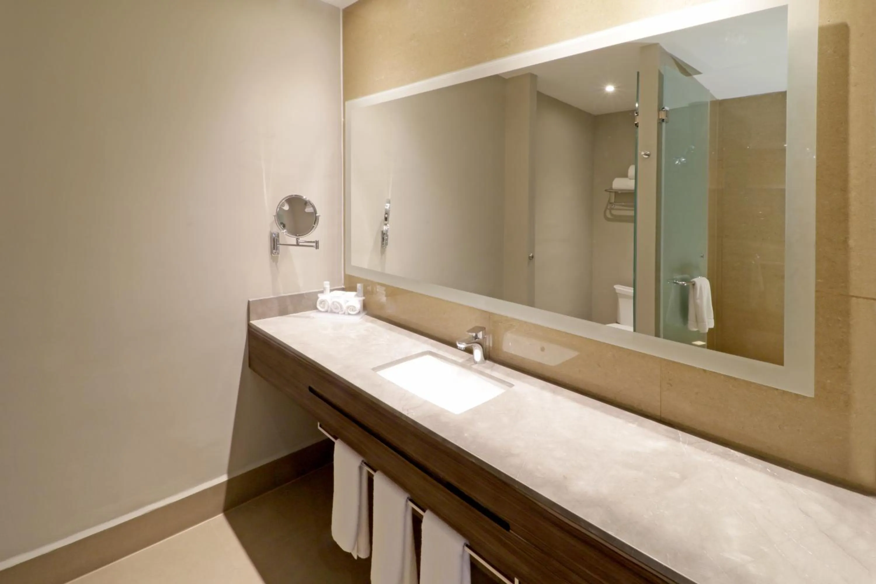Bathroom in Holiday Inn Express & Suites Monterrey Valle by IHG