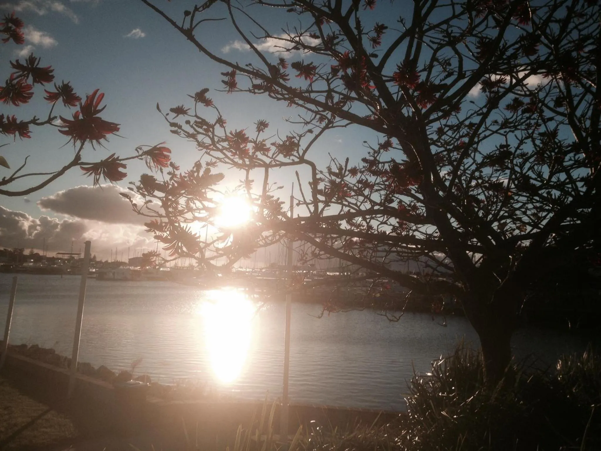 View (from property/room) in Mandurah Ocean Marina Chalets