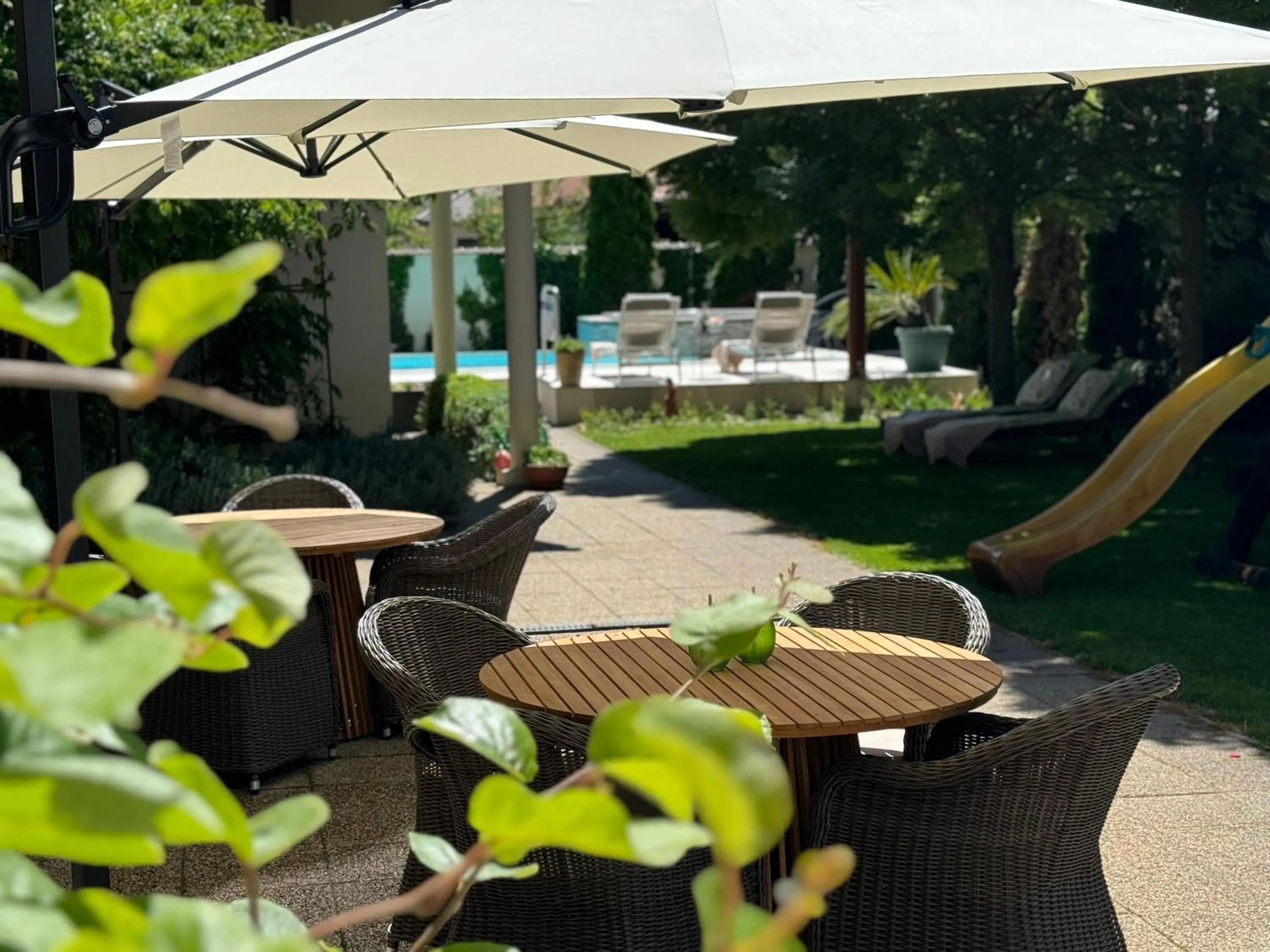 Garden in Amfora Panzió