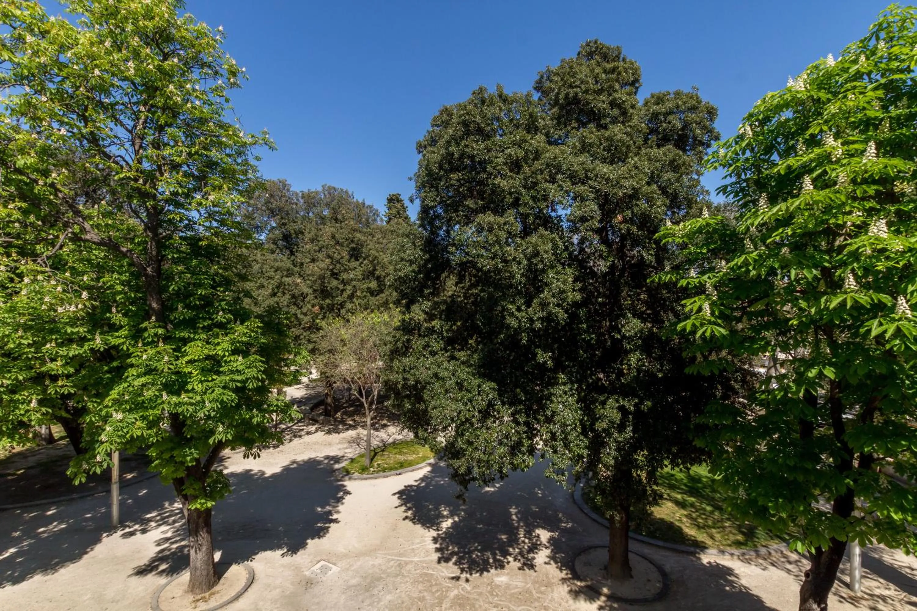 Garden view in Pellegrini Luxury Rooms