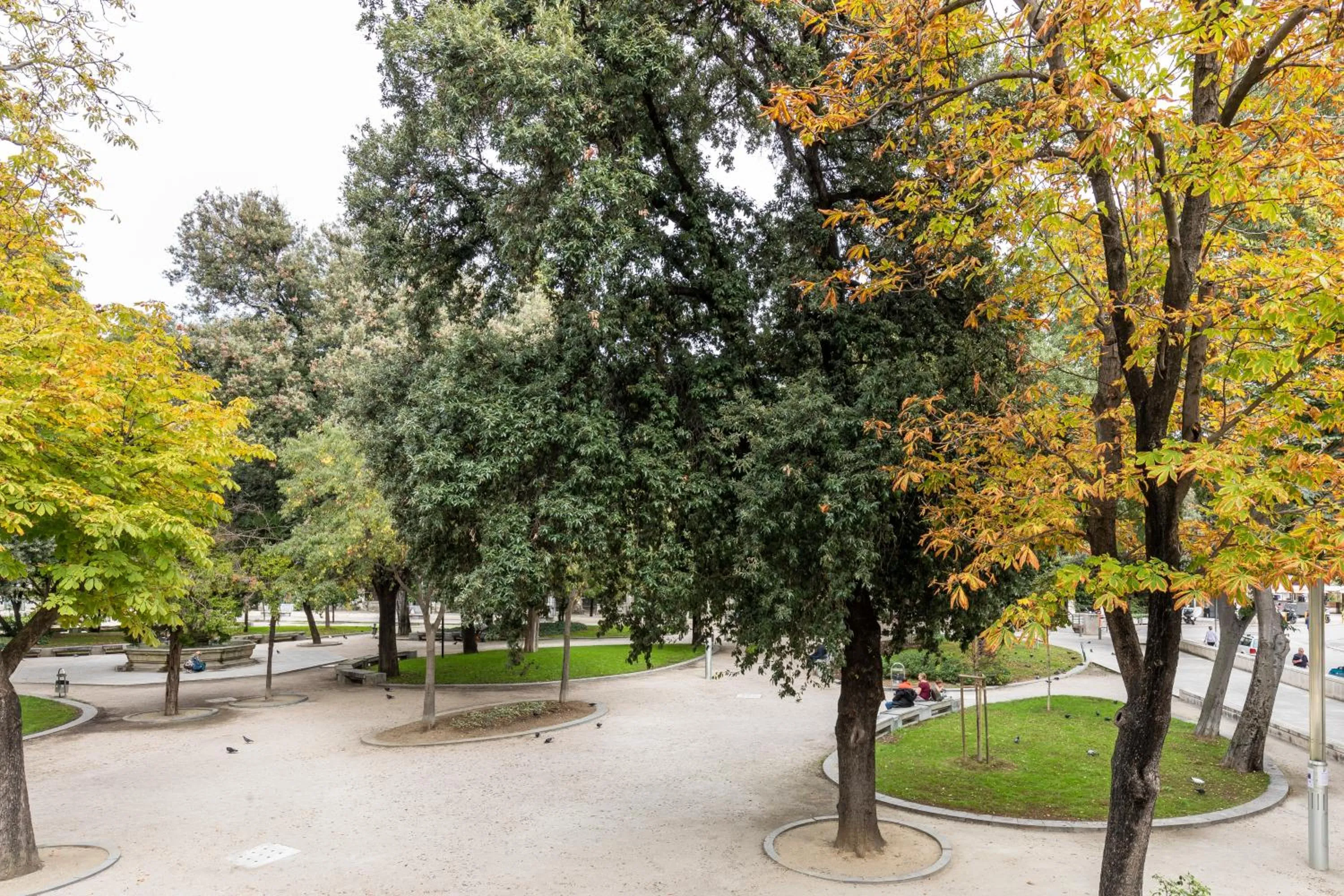 Garden view in Pellegrini Luxury Rooms