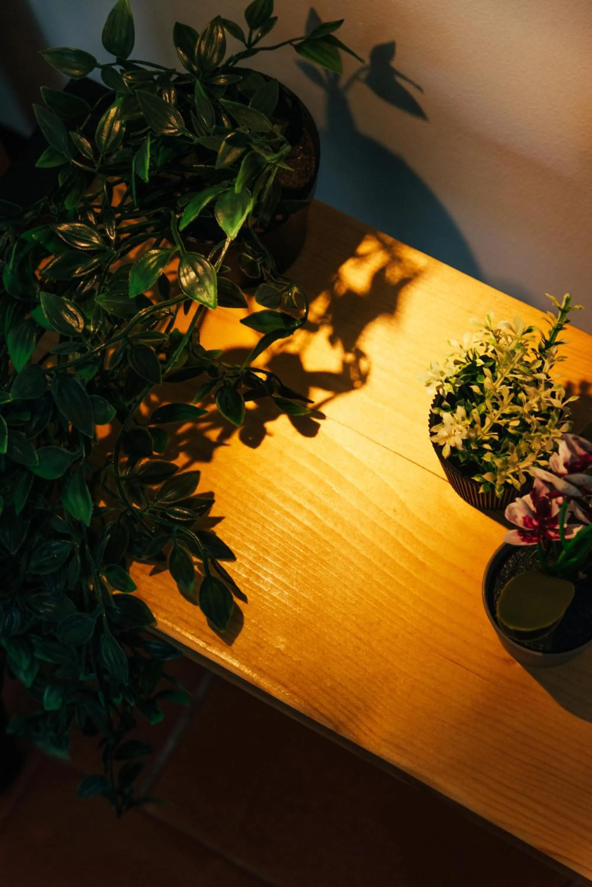 Dining area in Kalypso studio Resorts