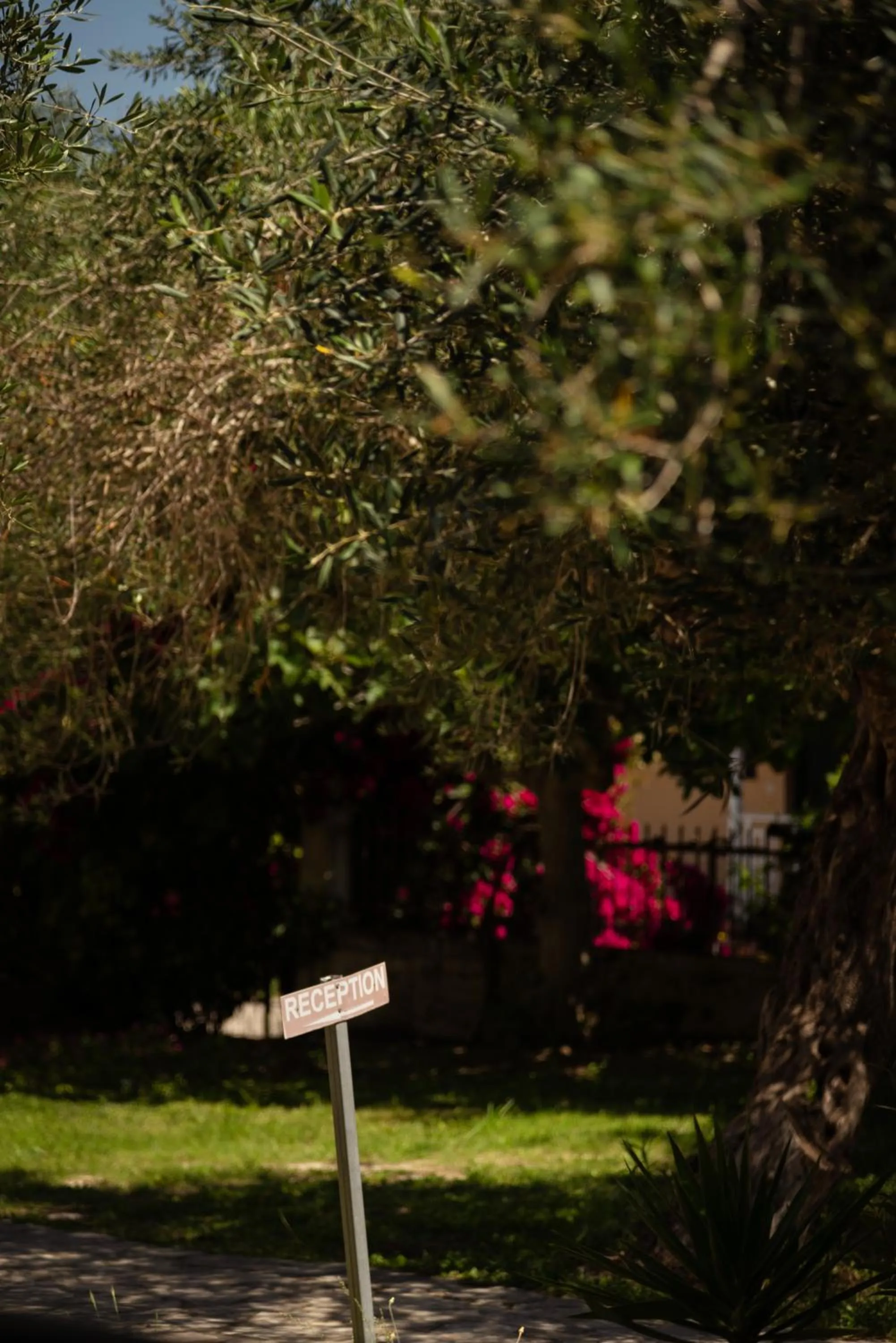 Garden view in Kalypso studio Resorts