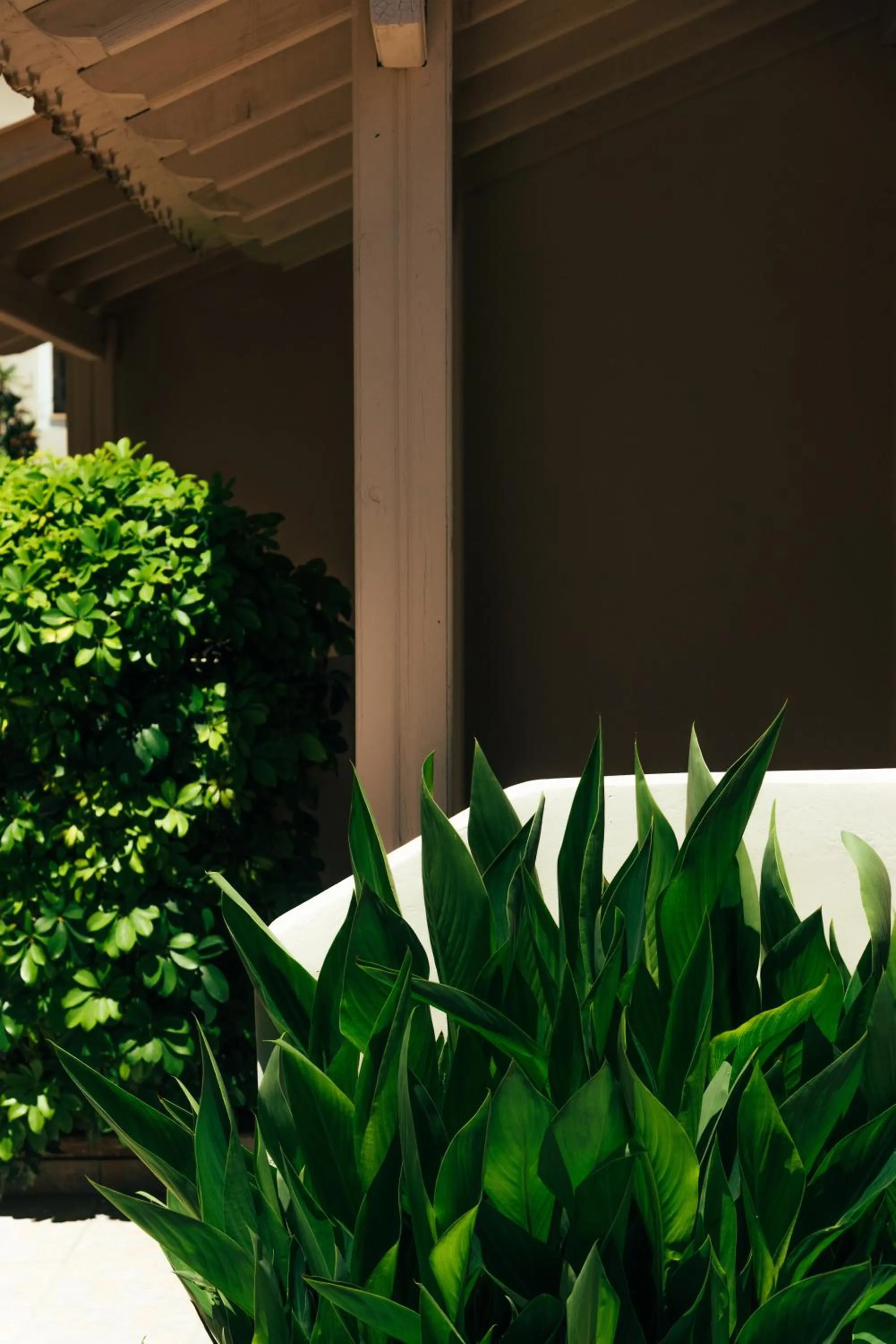 Day in Kalypso studio Resorts