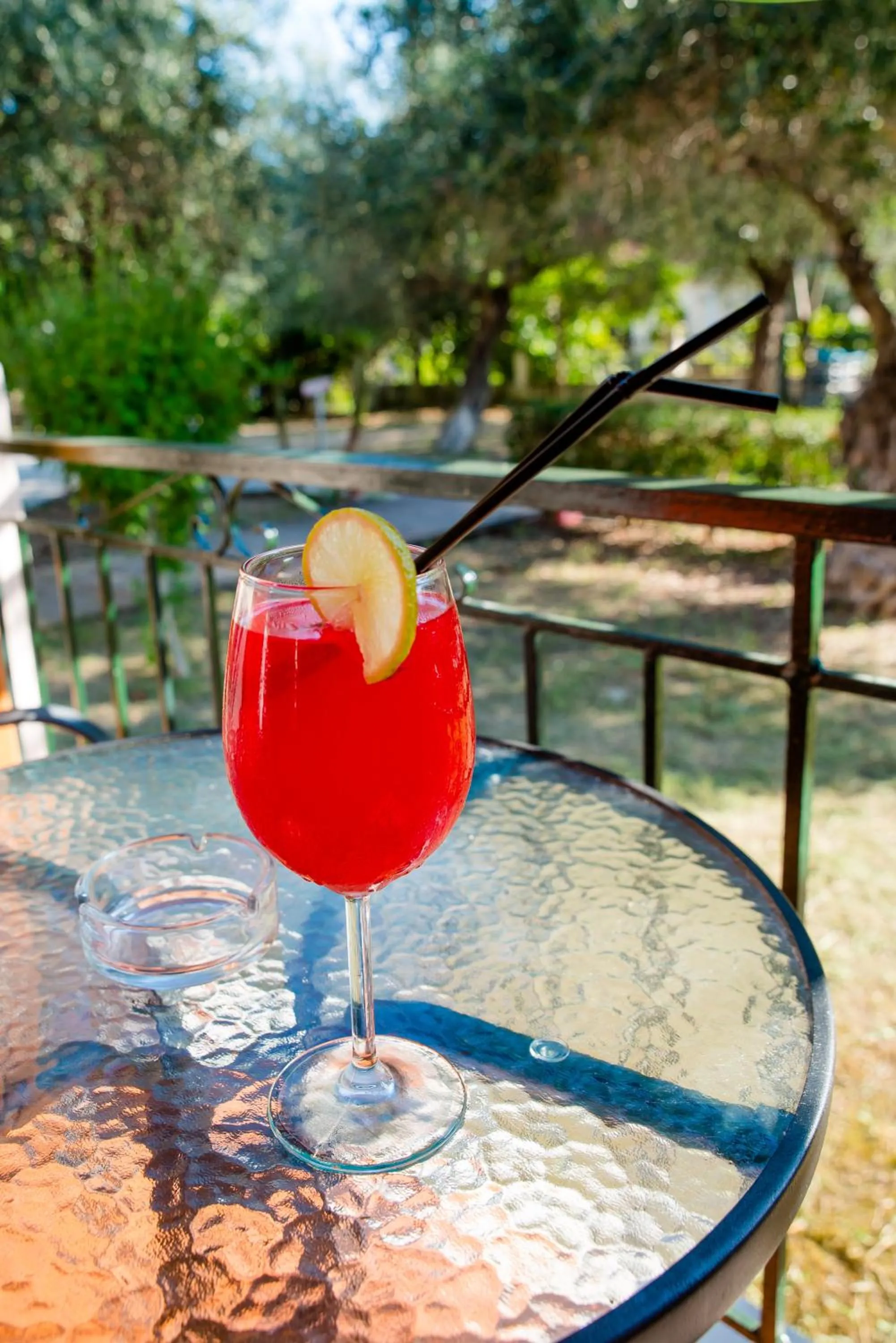 Drinks in Kalypso studio Resorts