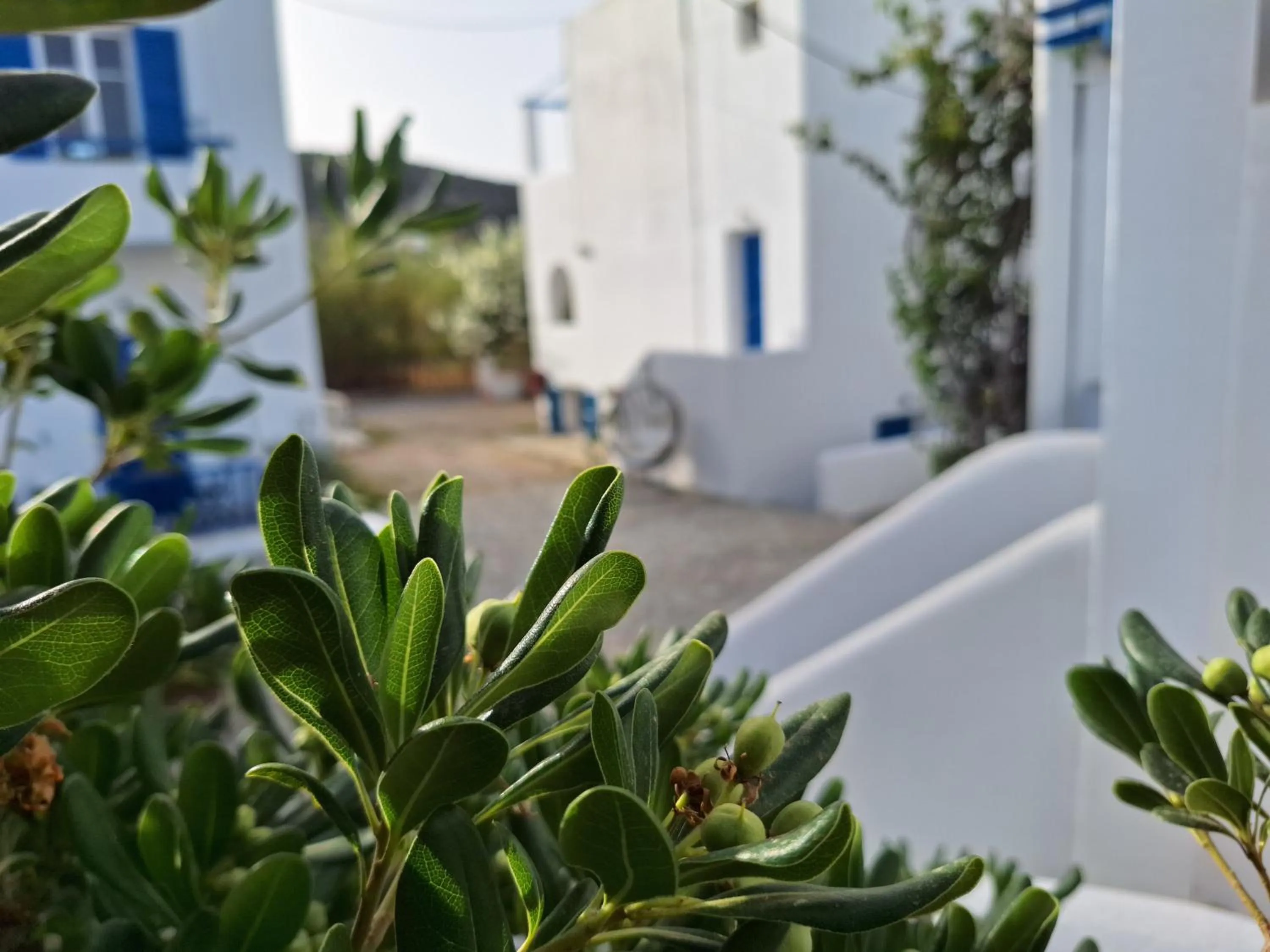 Balcony/Terrace in Εvi Evan Hotel