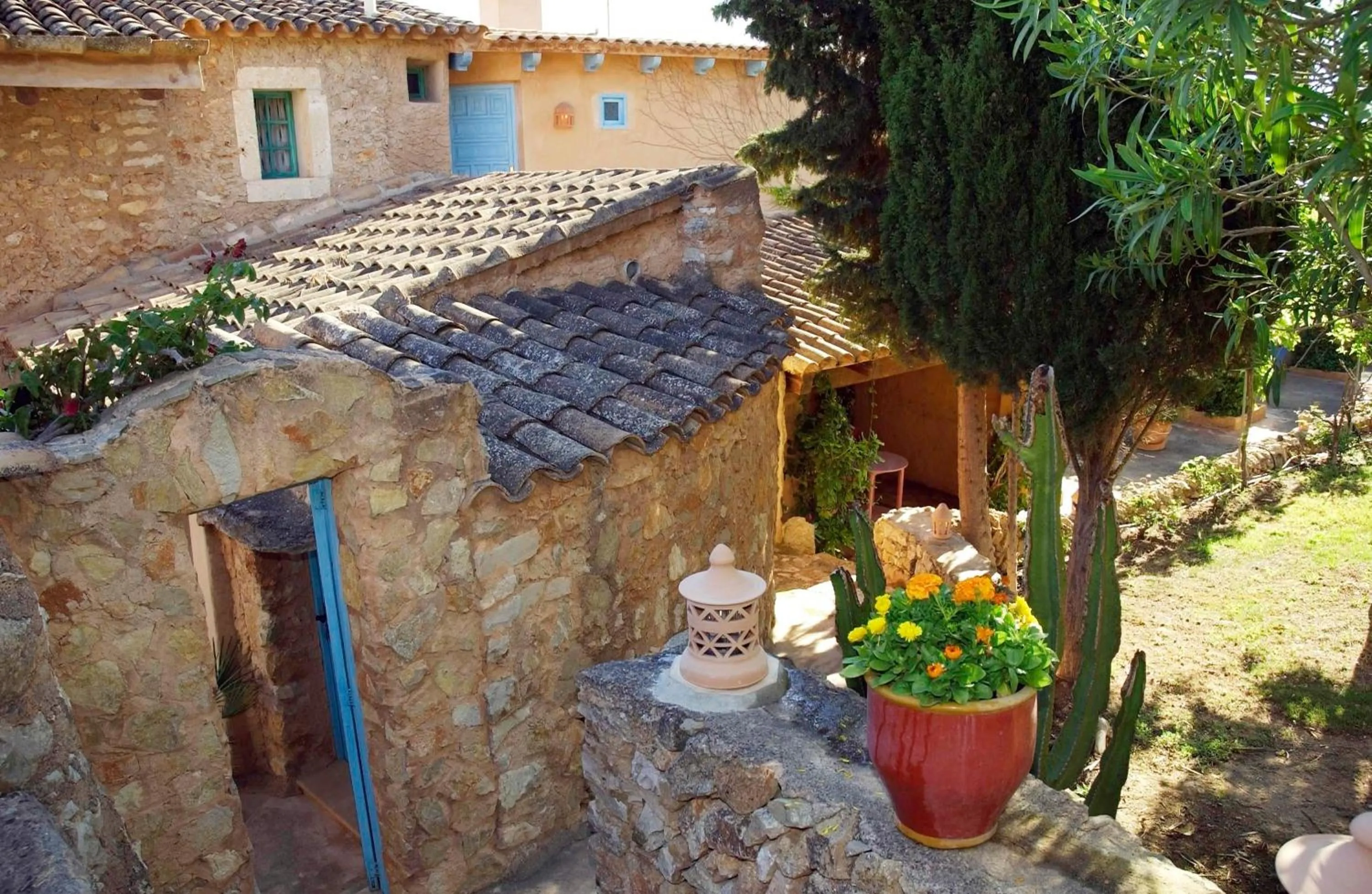 Property building in Son Vent