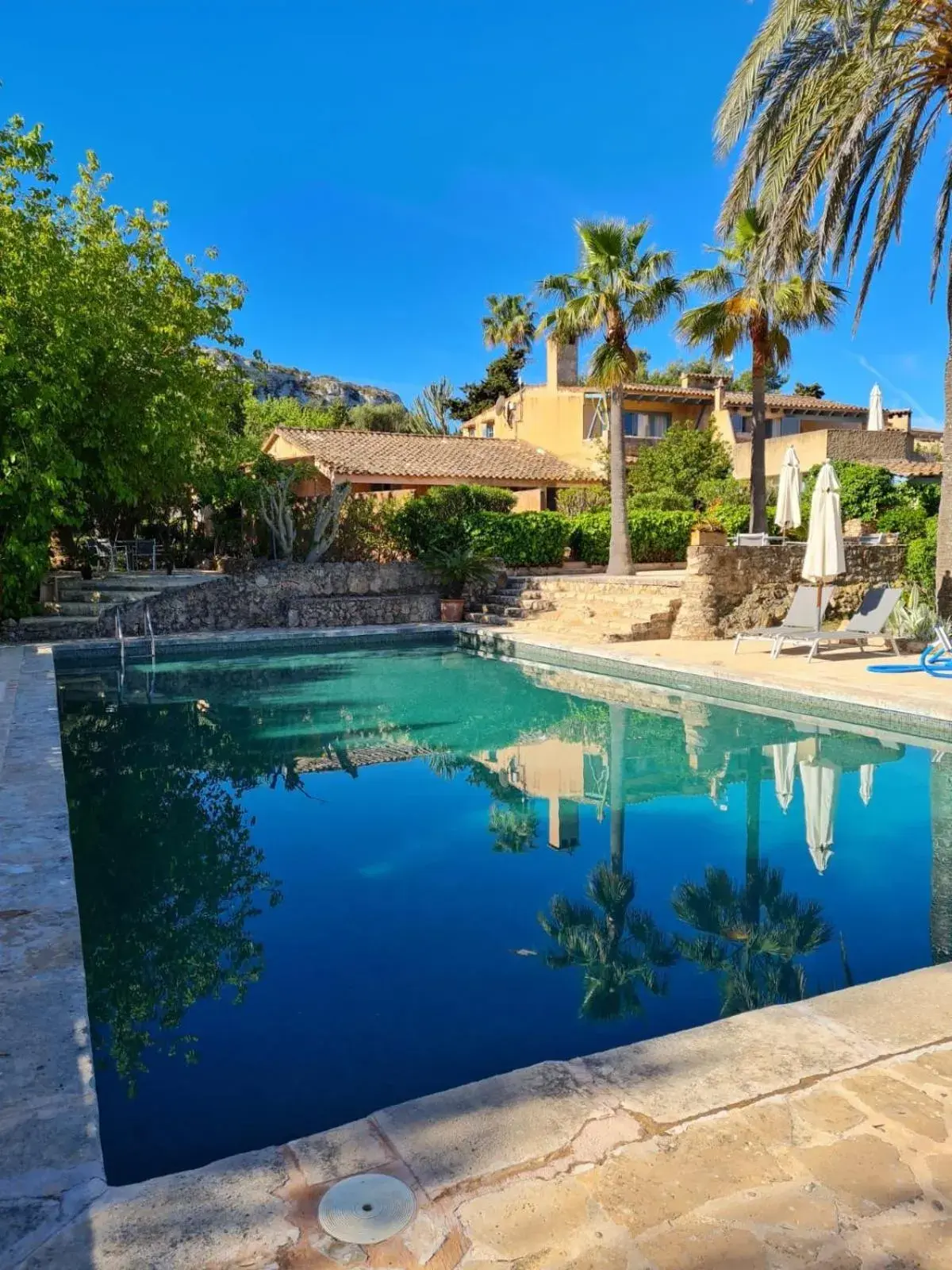 Suite with Garden View in Son Vent Suite with Garden View in Son Vent