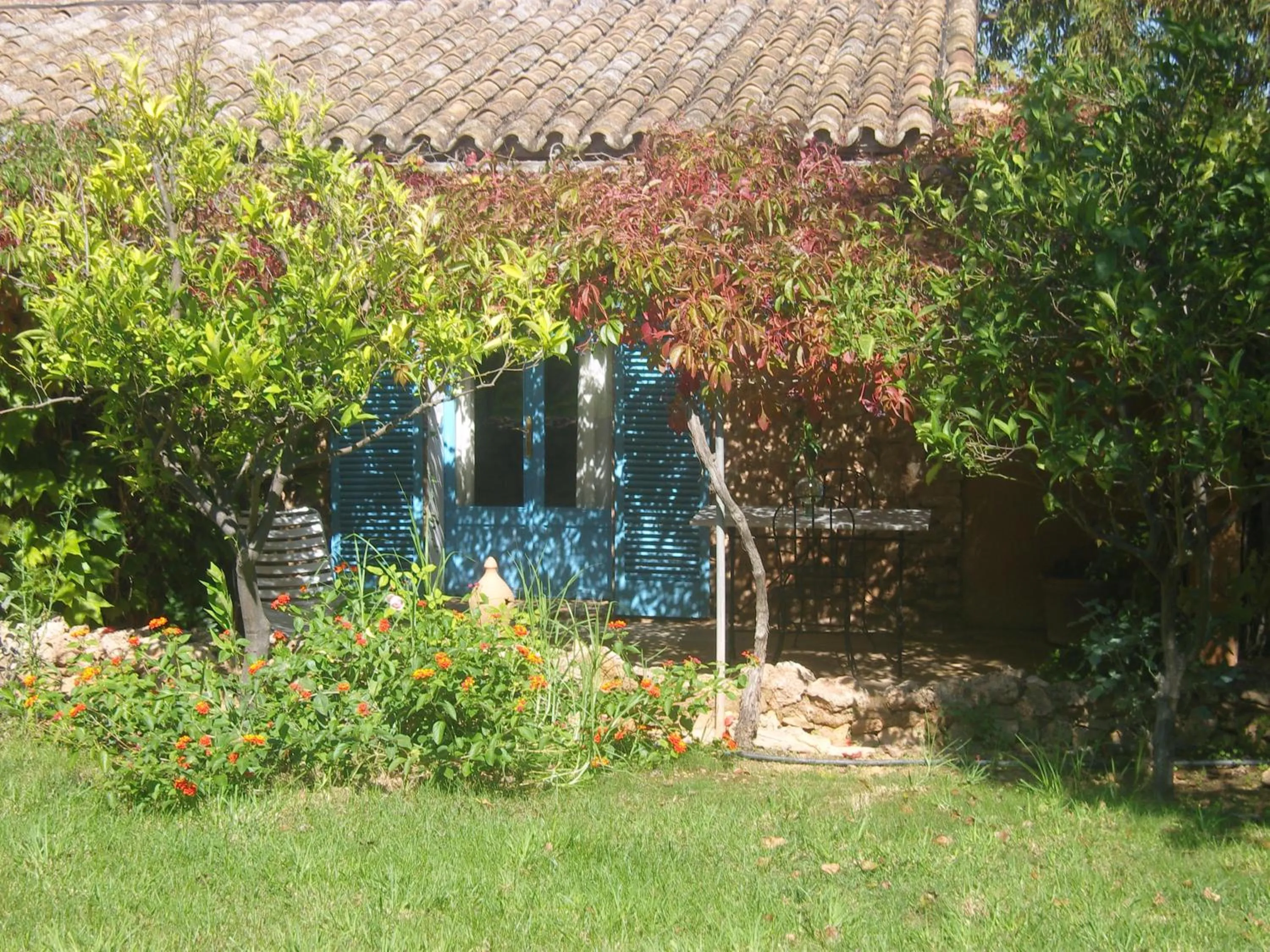 Property building in Son Vent