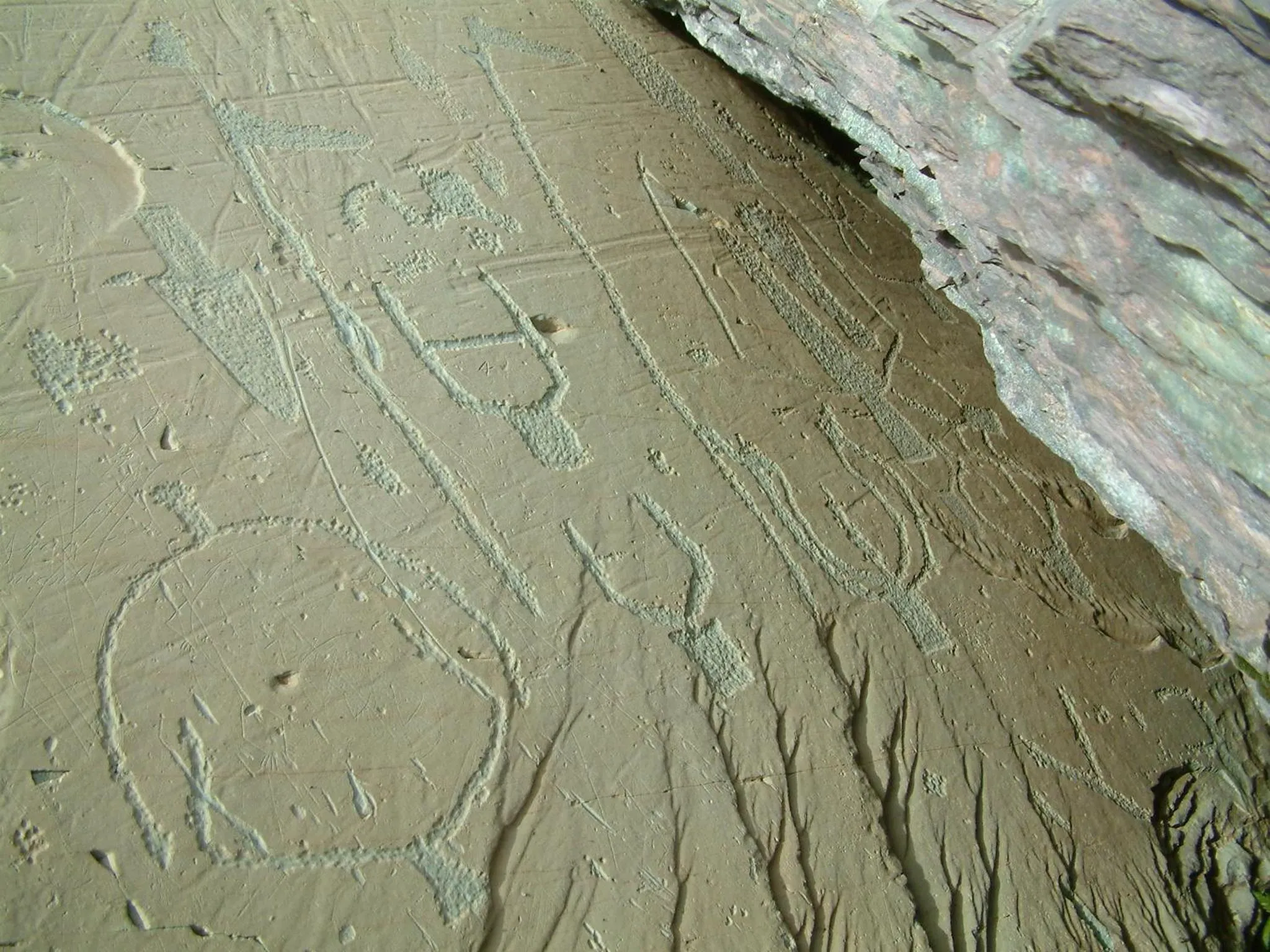 Activities in Le Mirval