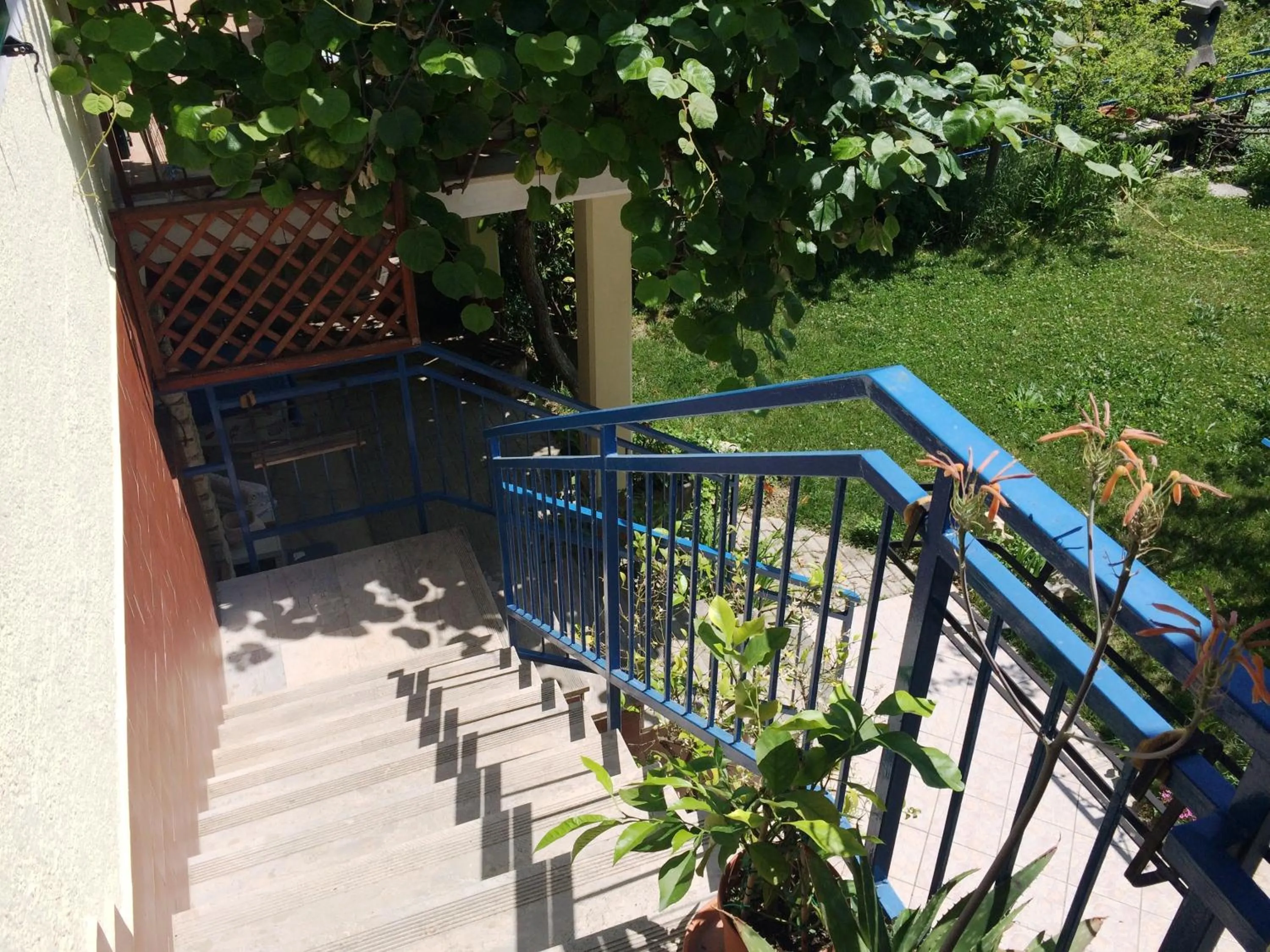 Property building in Apartments and Rooms Knez