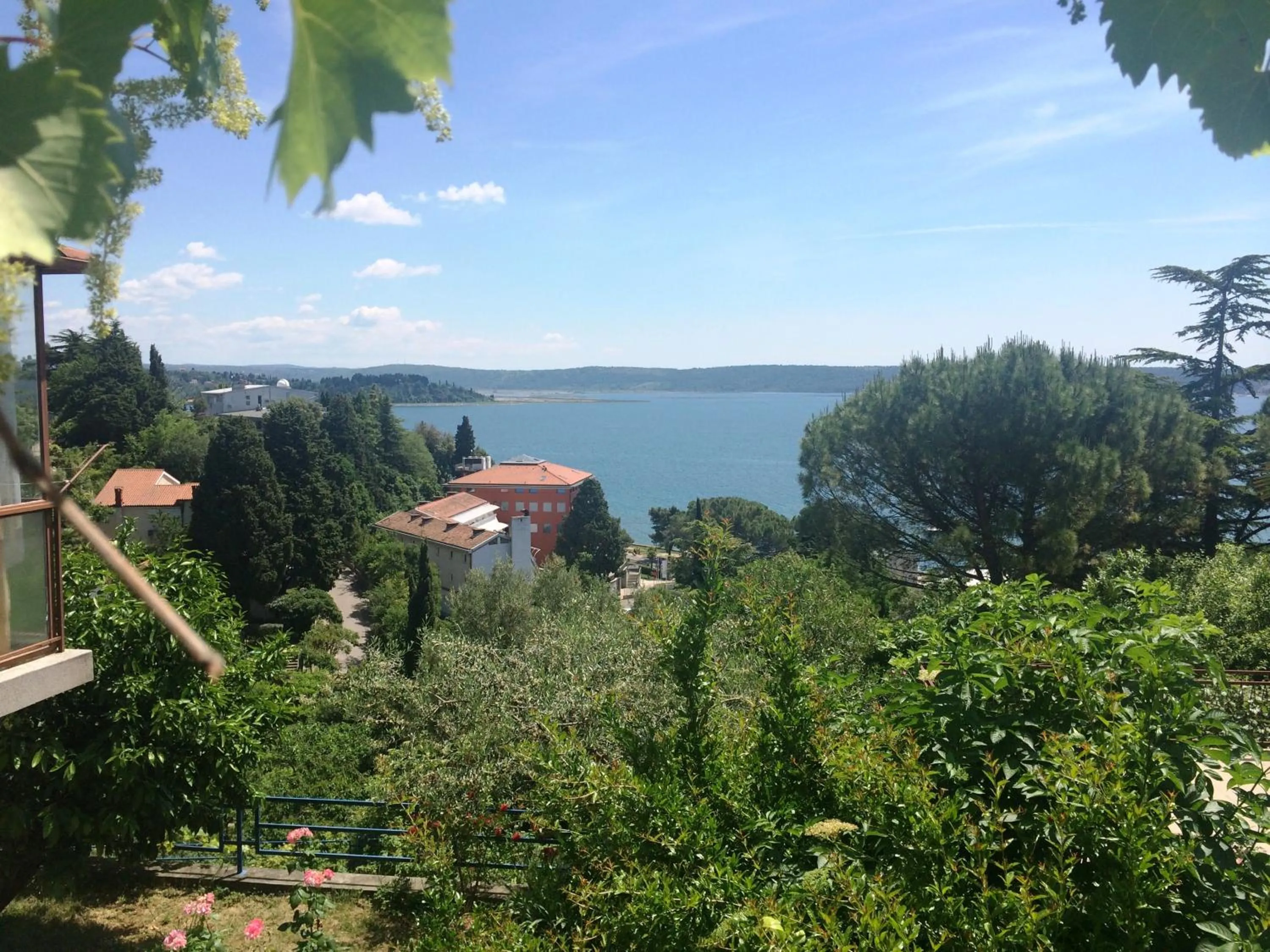 Spring in Apartments and Rooms Knez