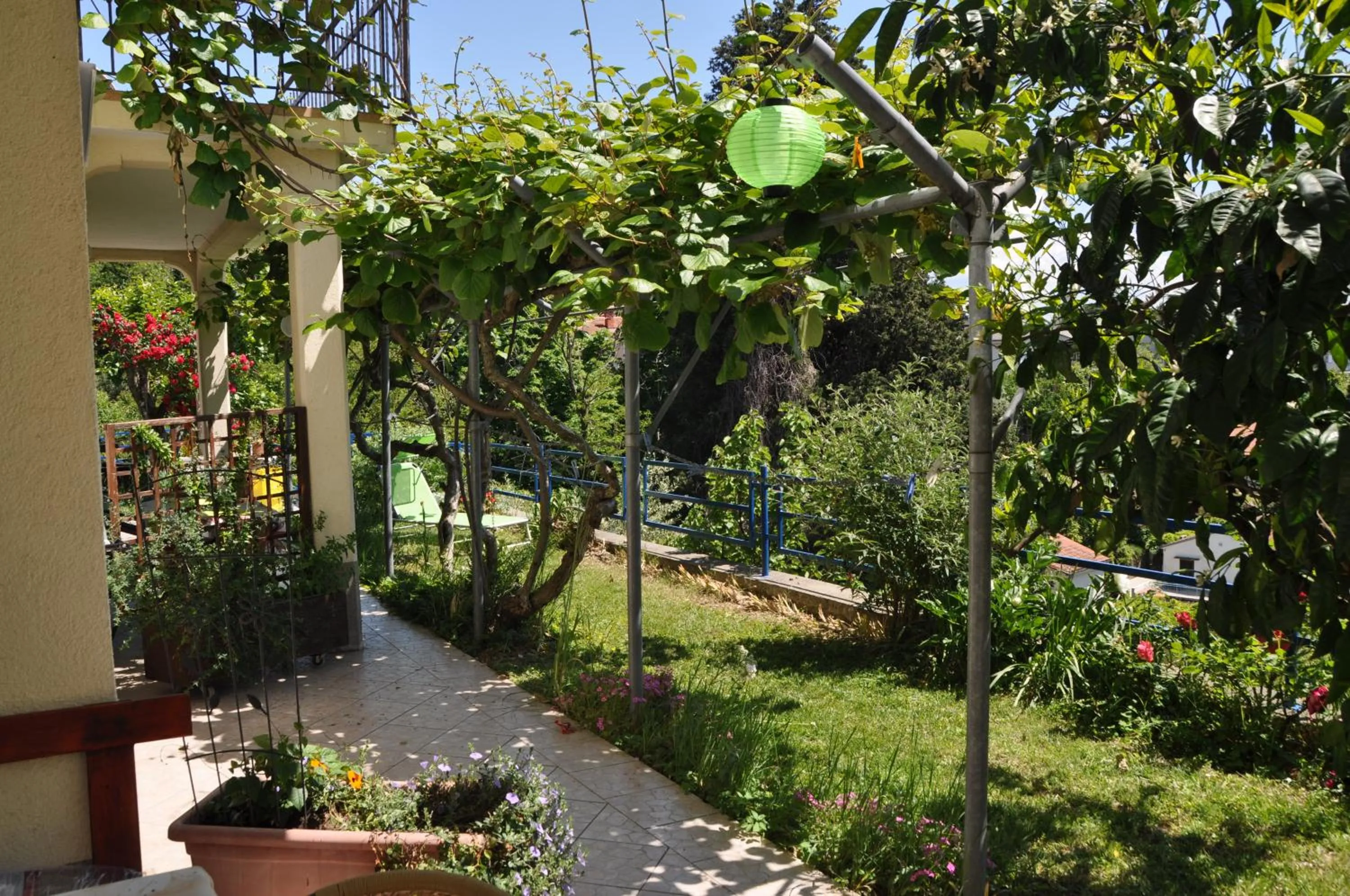 Balcony/Terrace in Apartments and Rooms Knez