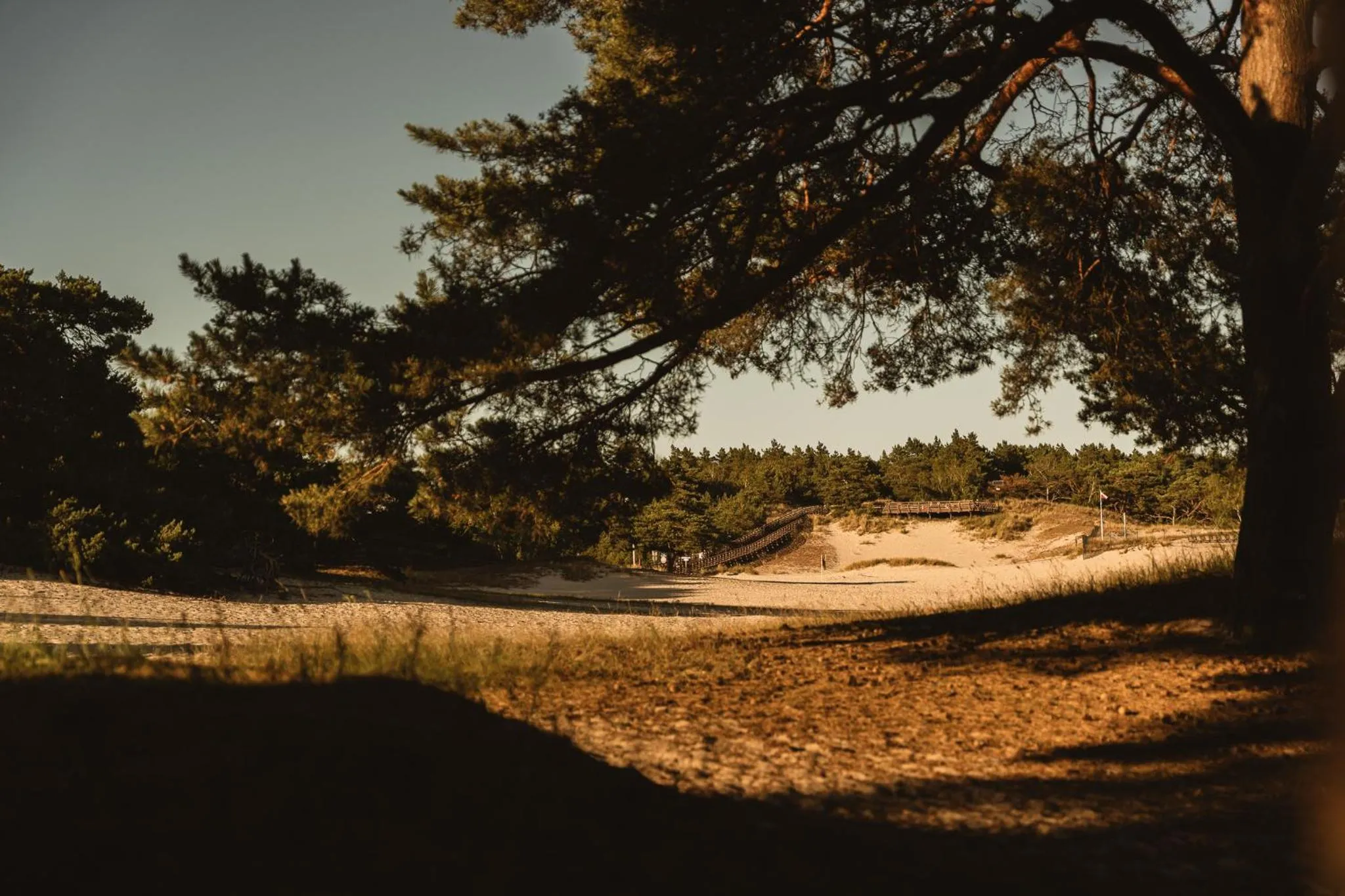 Beach in Neptuno Resort & Spa