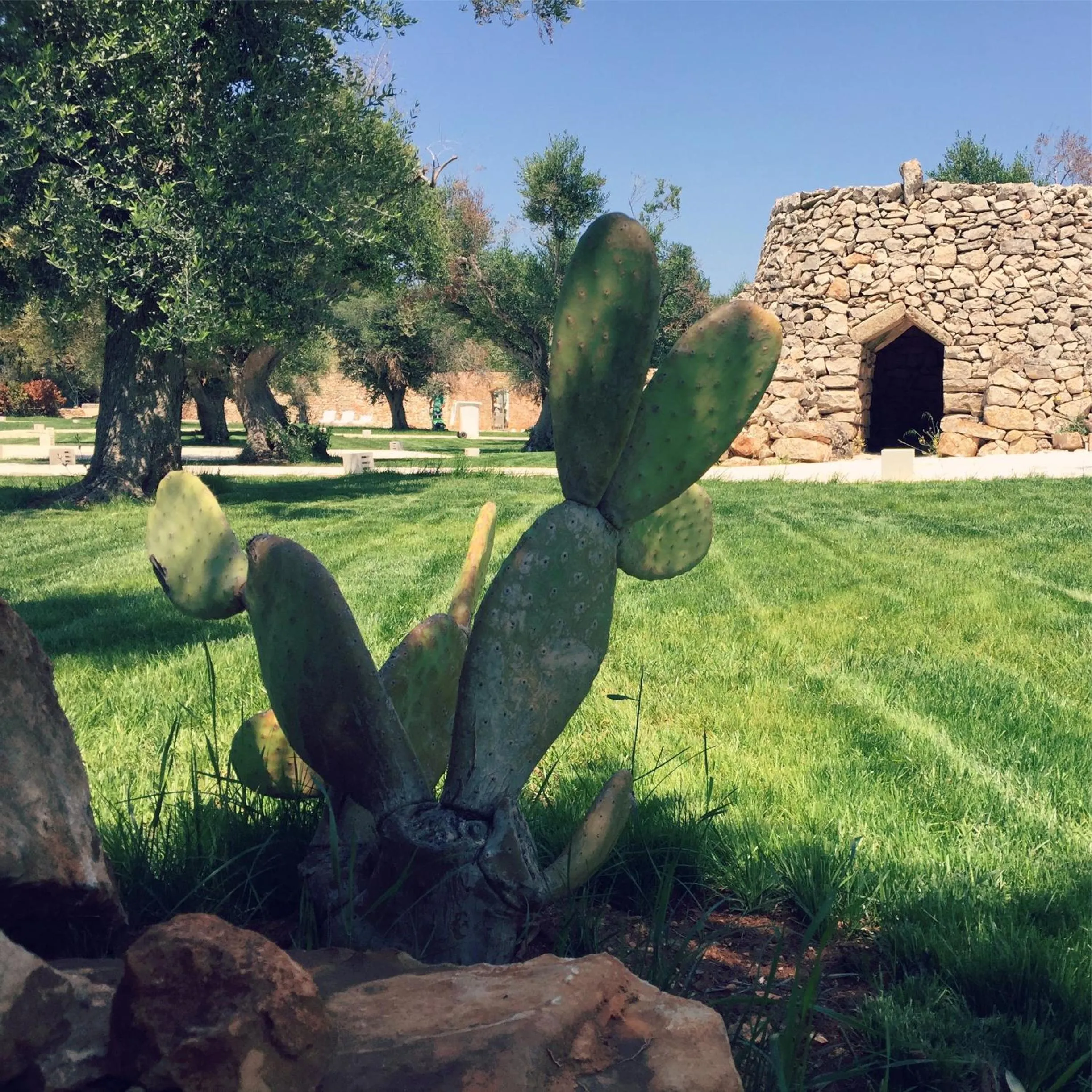 Garden in Masseria Relais Santa Teresa